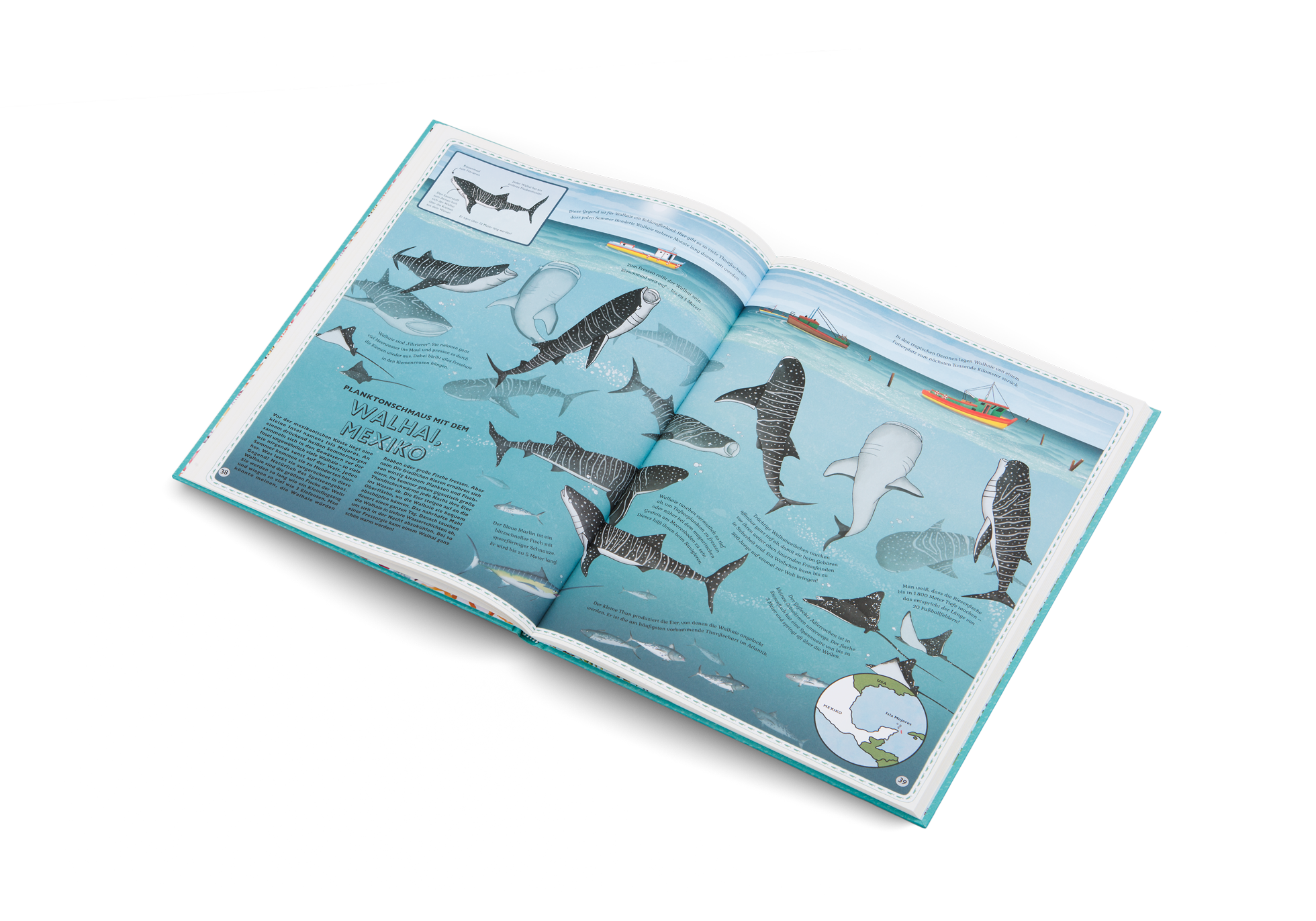 Walhai, Mexiko im Atlas der Ozeane