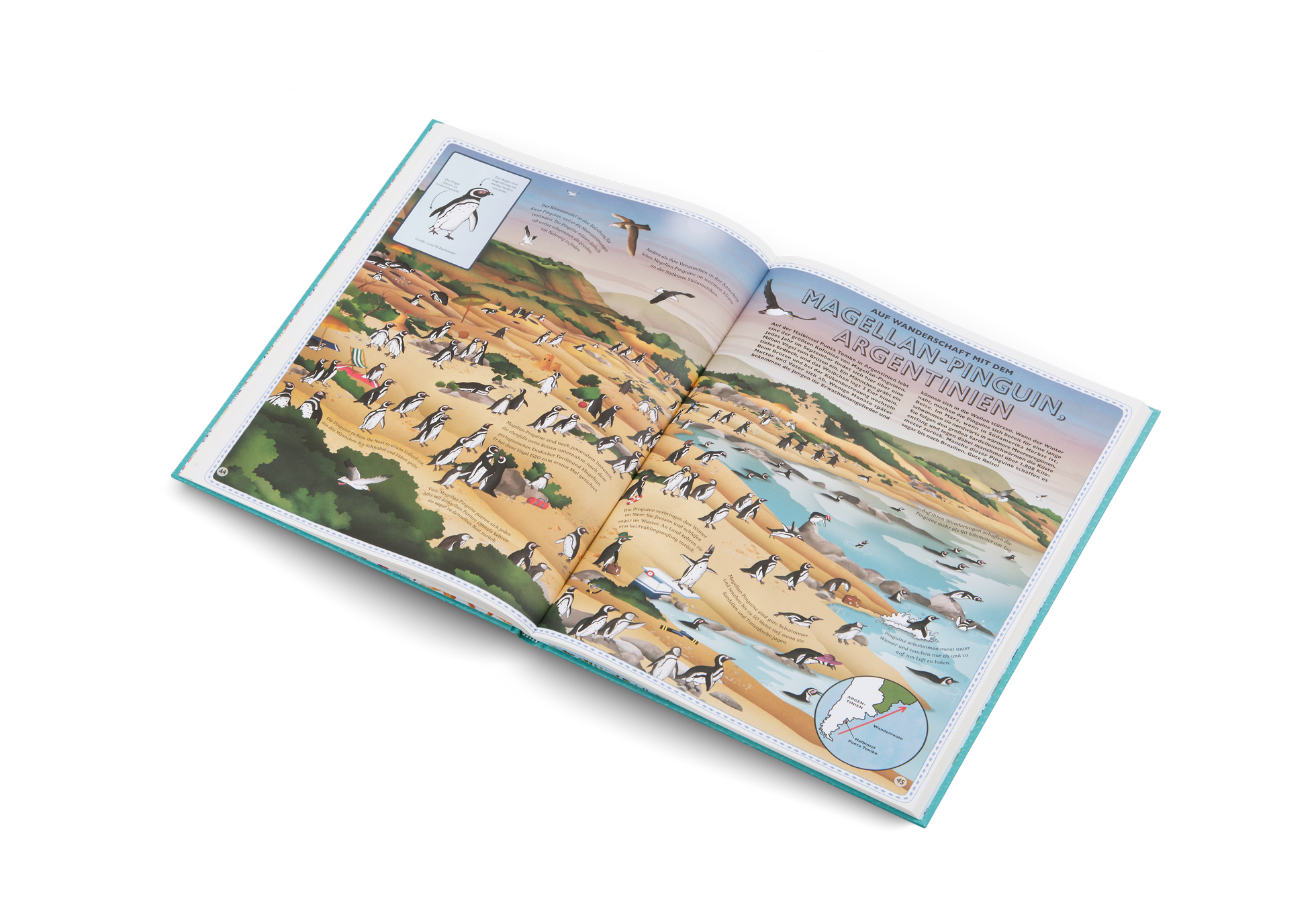 Der Atlas der Ozeane von Kleine Gestalten