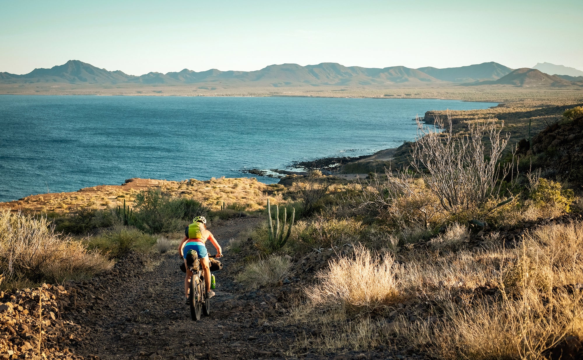 Bikepacking is a book by Stefan Amato and gestalten