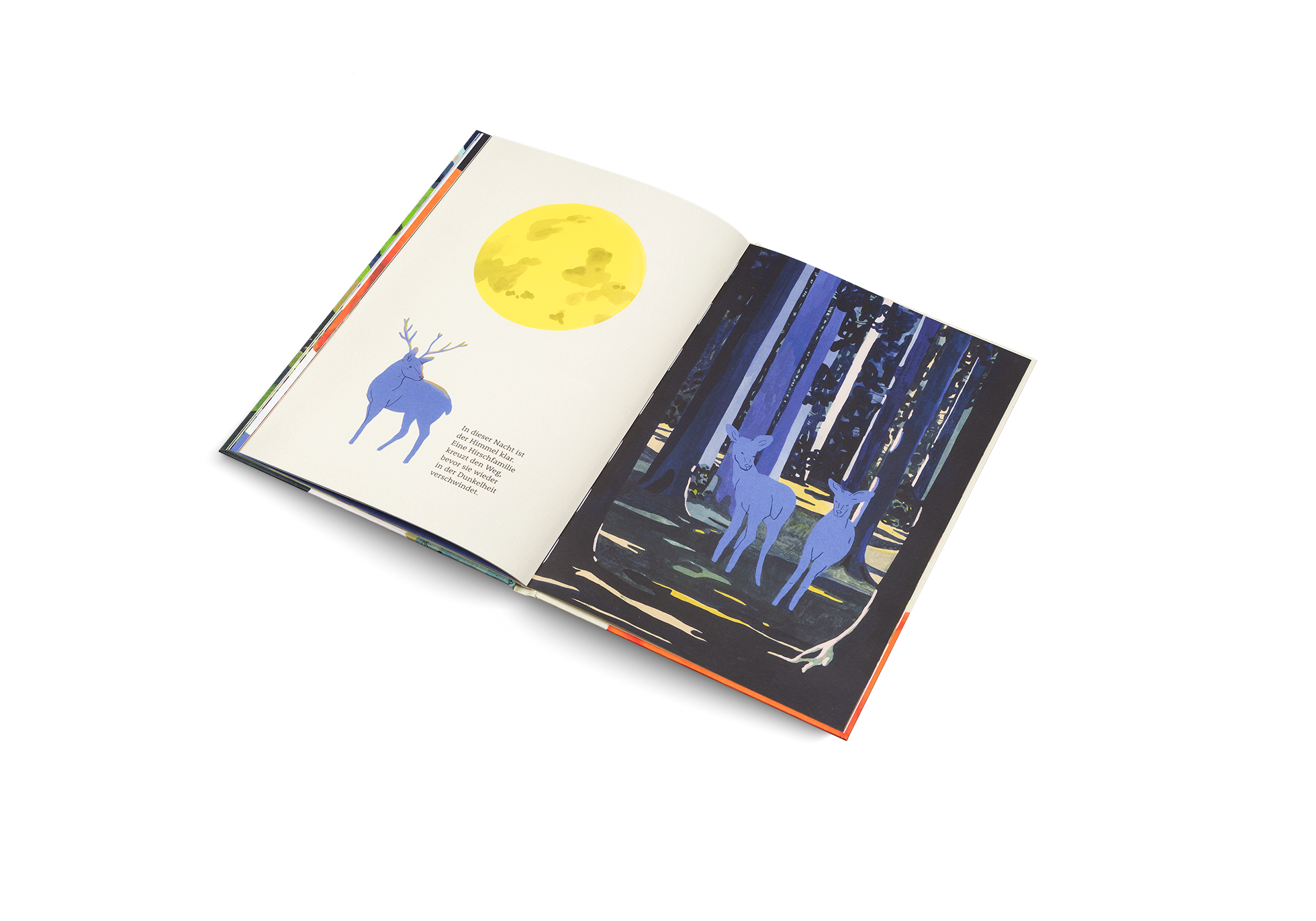 In dieser Nacht ist der Himmel klar. Eine Hirschfamilie kreuzt den Weg, bevor sie wieder in der Dunkelheit verschwindet.