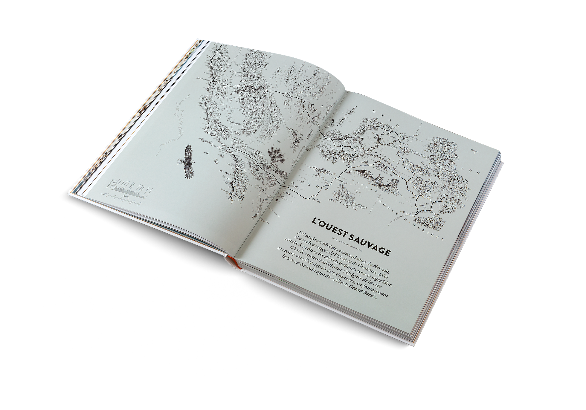 Martijn Doolaard a toujours rêvé des vastes plaines du Nevada, des roches rouges de l’Utah et de l’Arizona. L’été touche à sa fin et les déserts brûlants vont se rafraîchir. C’est le moment idéal pour s’éloigner de la côte et rouler vers l’est depuis San Francisco, en franchissant la Sierra Nevada afin de rallier le Grand Bassin.