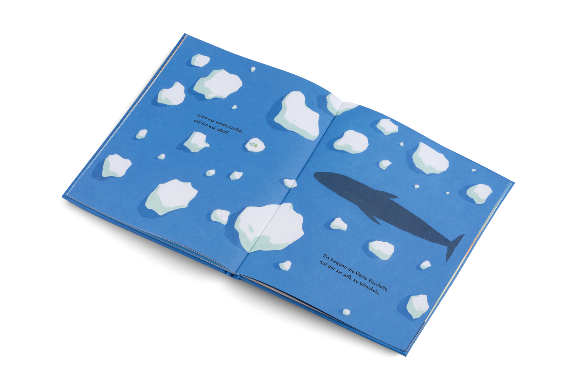 Die Kinder und der Wal Kleine Gestalten Kinderbuch Arktis