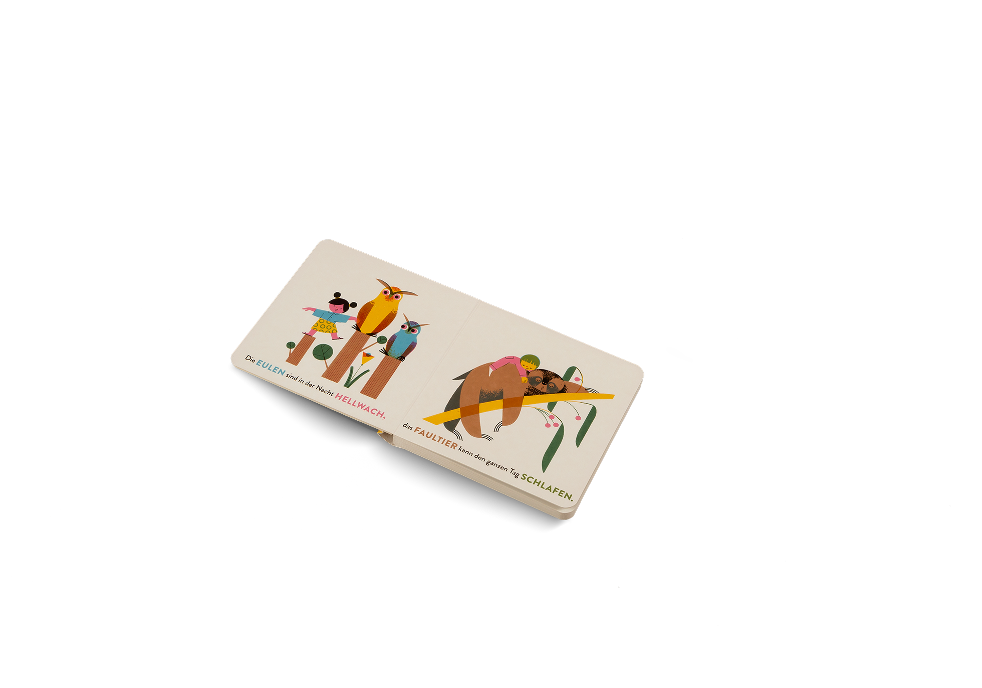 Die Eulen sind in der Hellwach in Die tolle Tierschau von Kleine Gestalten