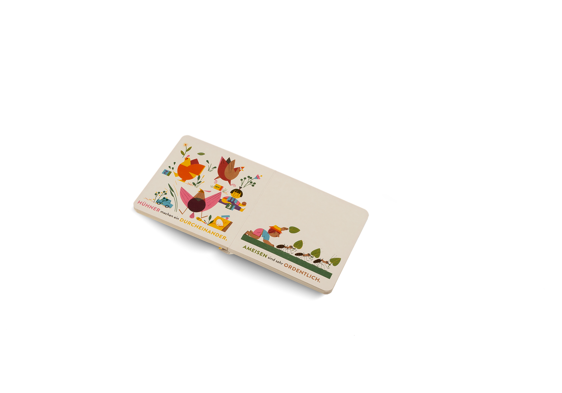 Hühner machen ein durcheinander, Ameisen sind sehr ordentlich.