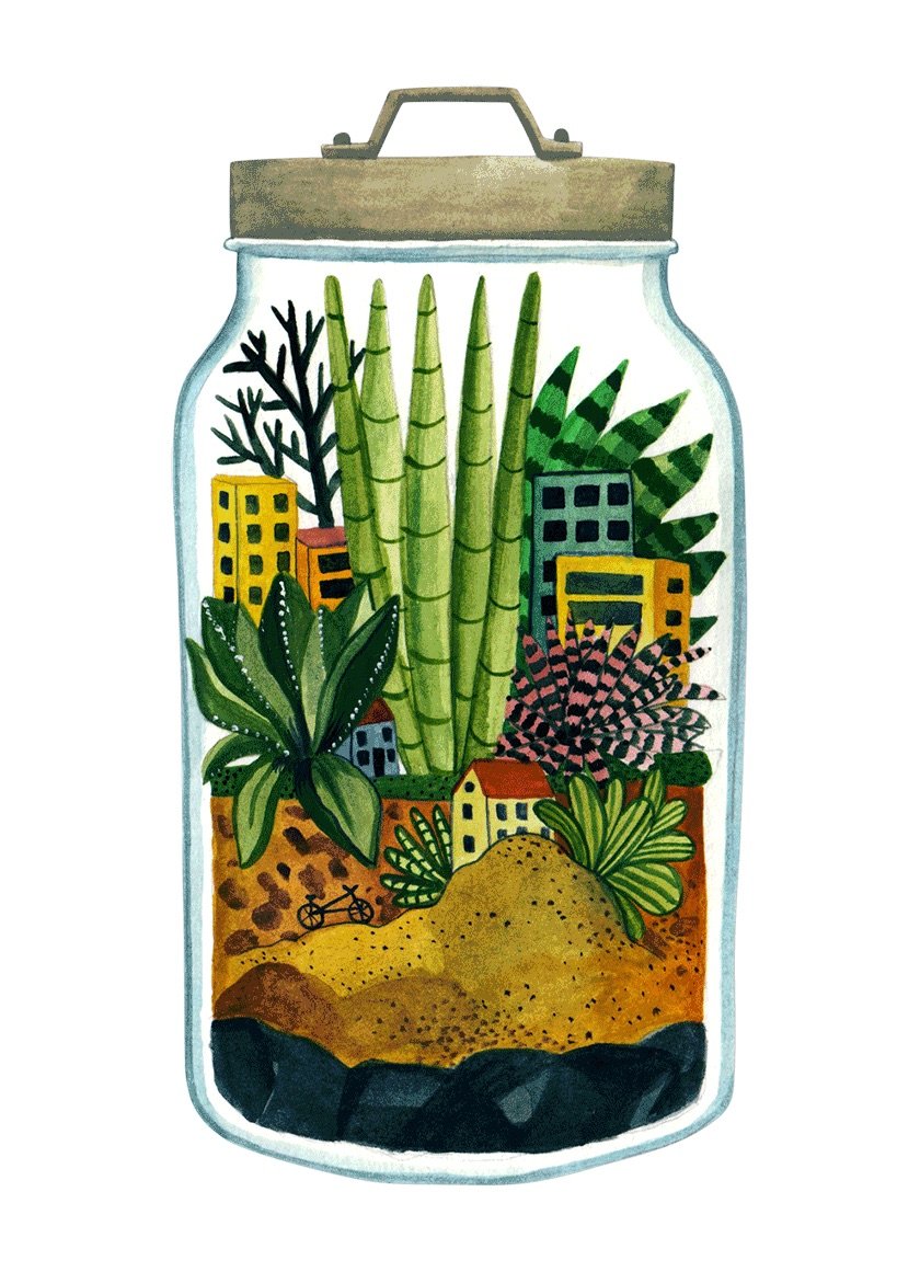 Wie man ein Terrarium macht in Grüner wird’s nicht