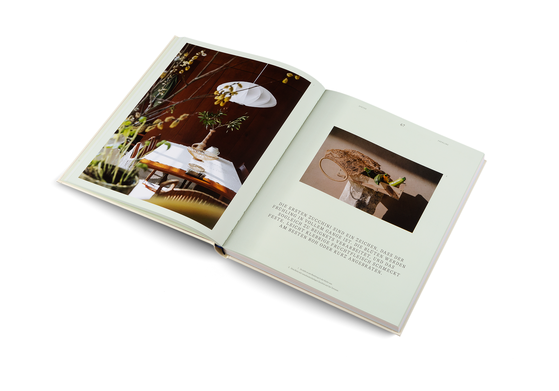 Die ersten Zucchini sind ein Zeichen, dass der Frühling in vollem Gange ist. Die Blüten werden sogleich zu beignets verarbeitet, und das feste, leicht klebrige Fruchtfleisch schmeckt am besten roh oder kurz angebraten.