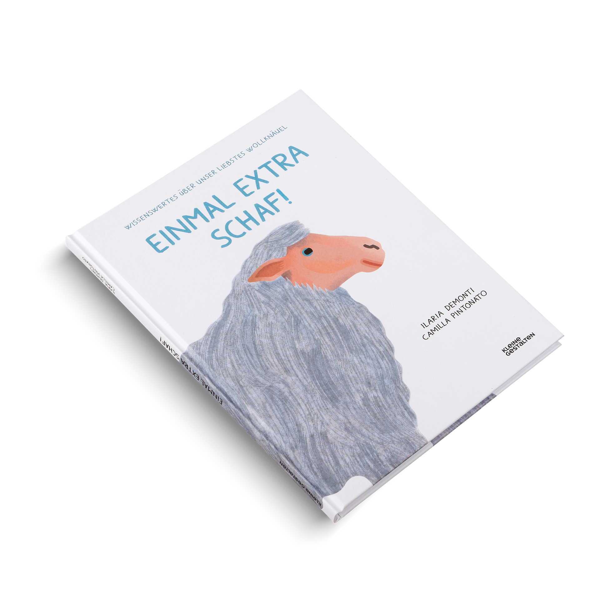 Wissenswertes über unser liebstes Wollknäuel in Einmal Extra Schaf von Camilla Pintonato