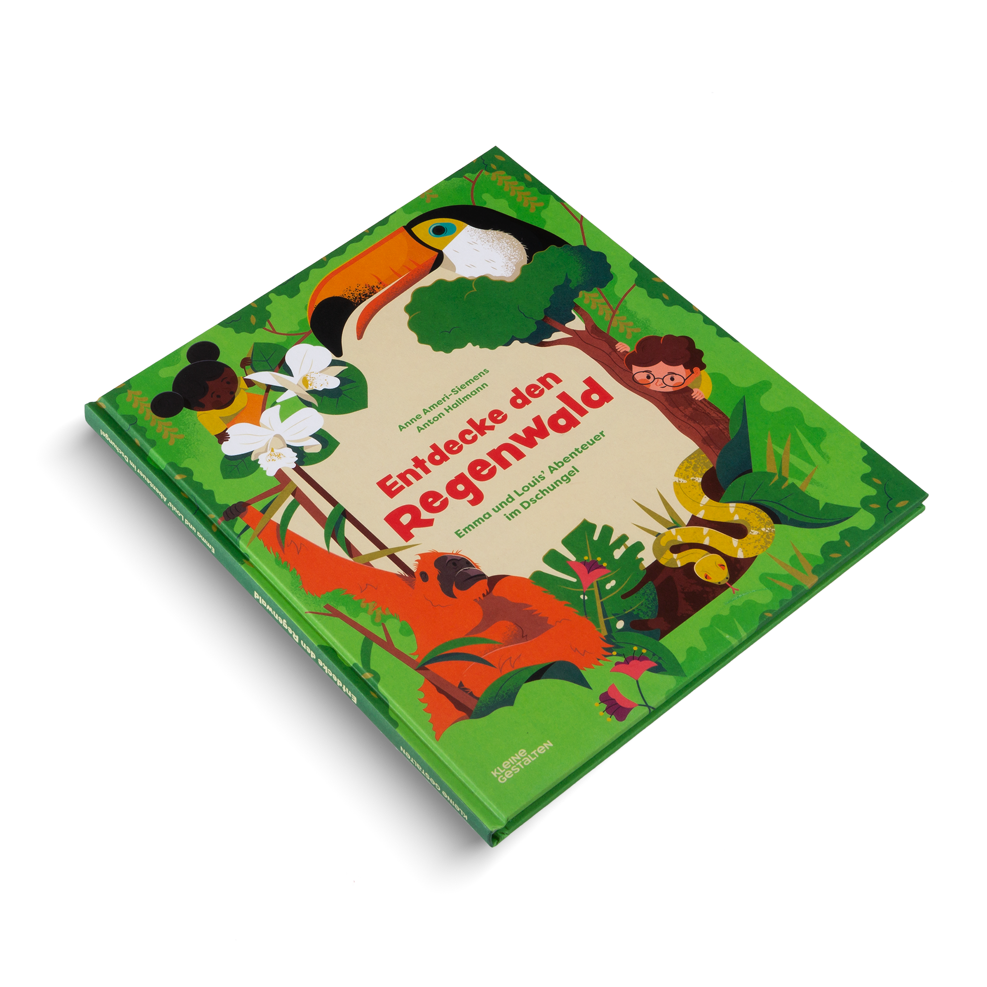 Entdecke den Regenwald ist ein Kinderbuch von Kleine Gestalten