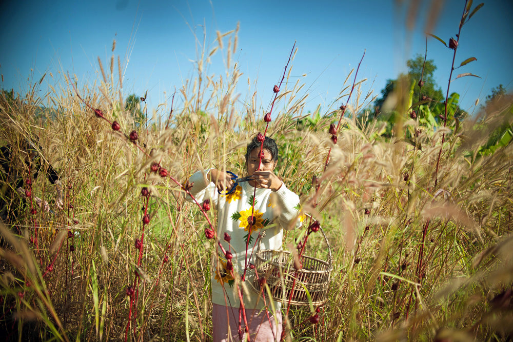 Farmlife gestalten book sustainability farm to table