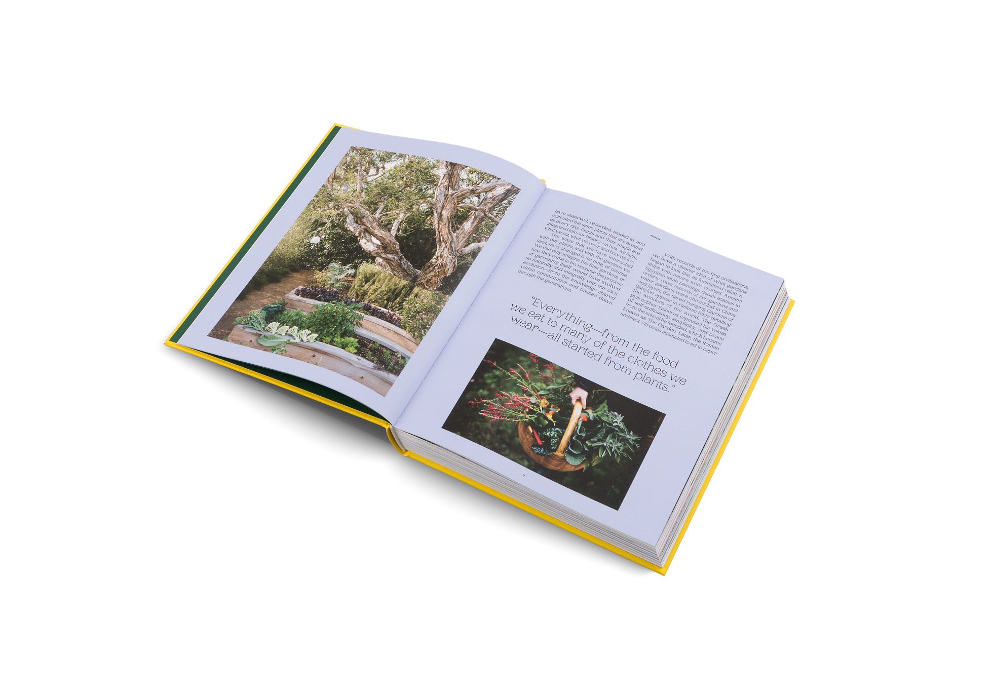 Plants and gardens