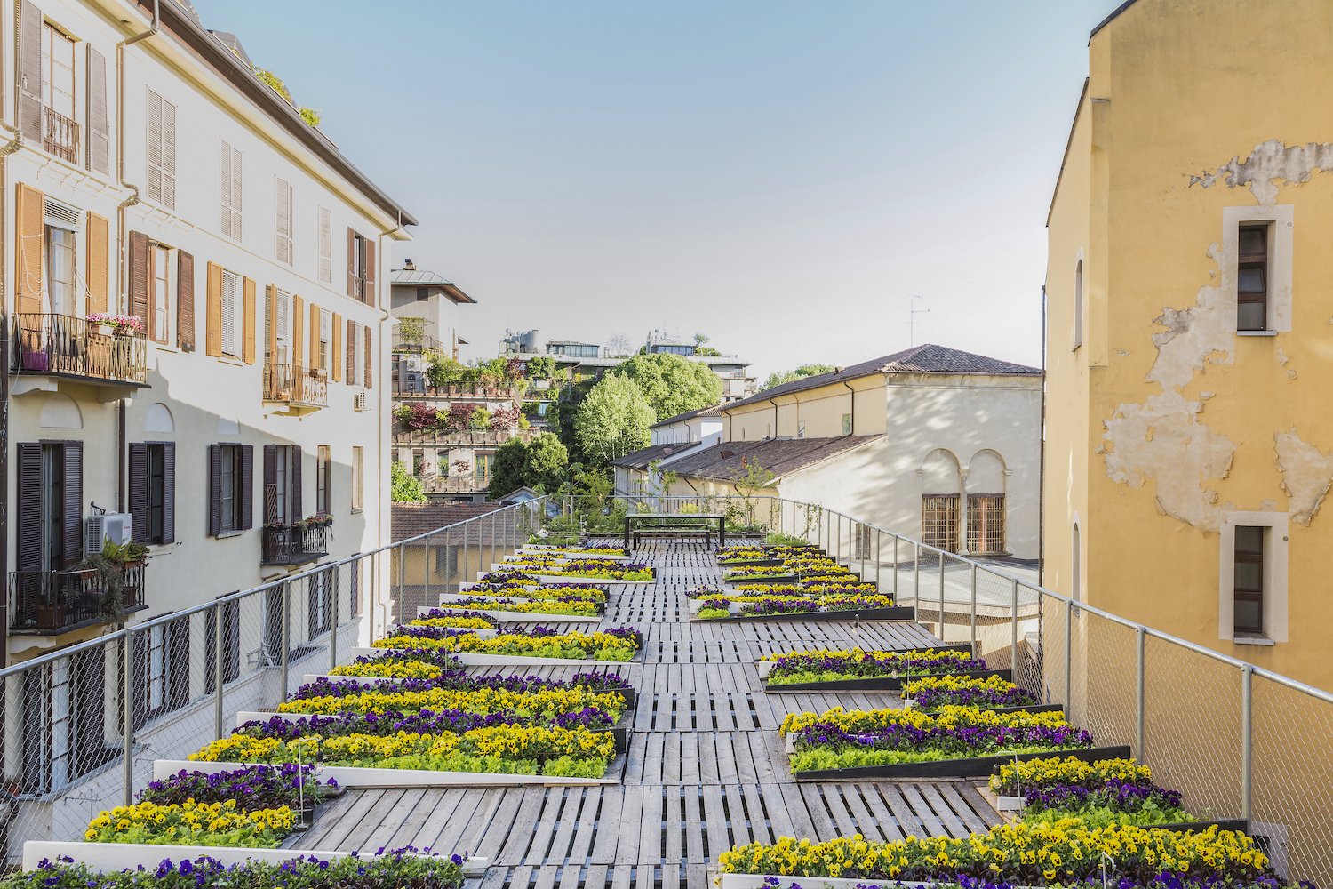 Dachgarten in Der Garten Eden