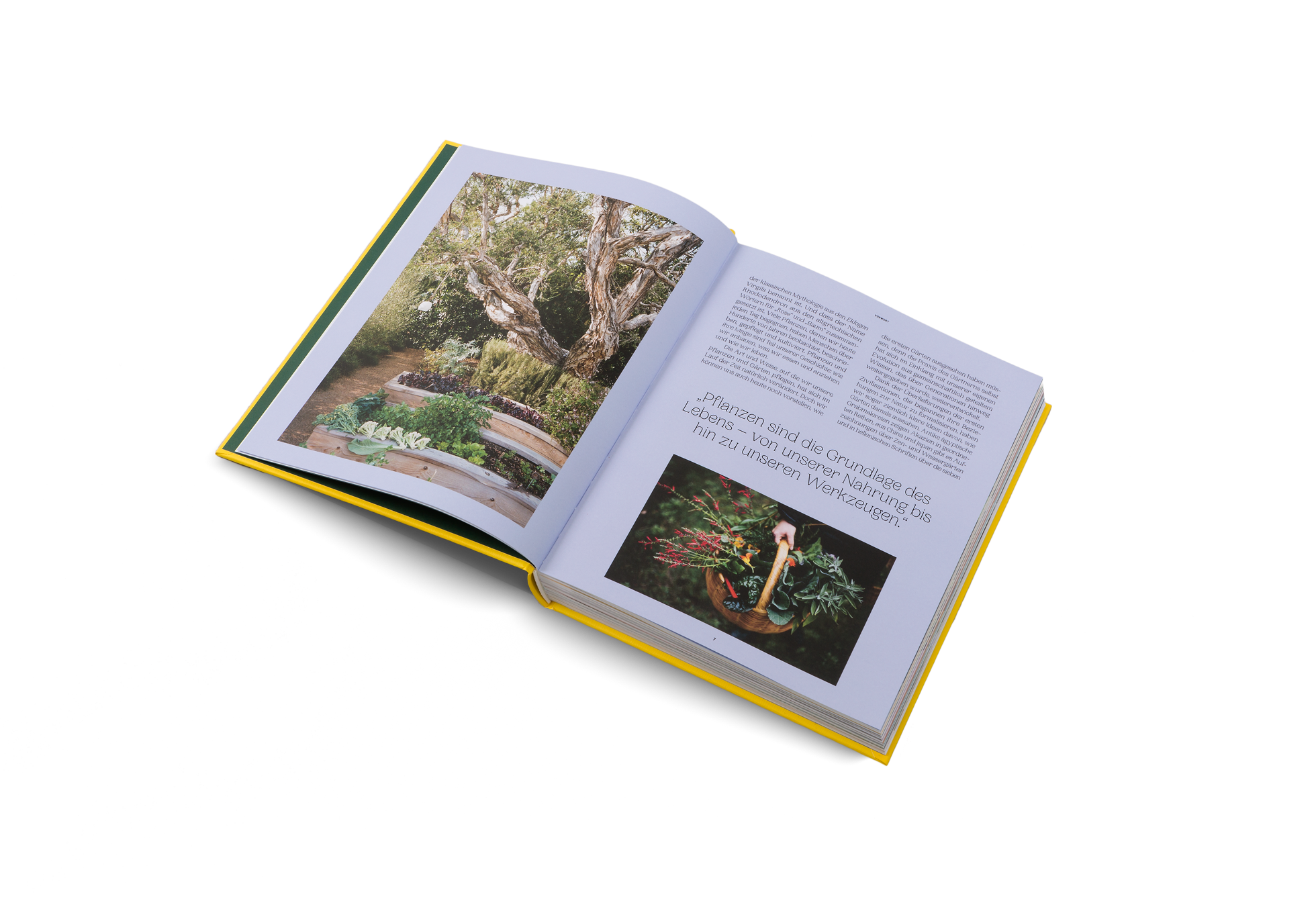 Pflanzen und Gärten