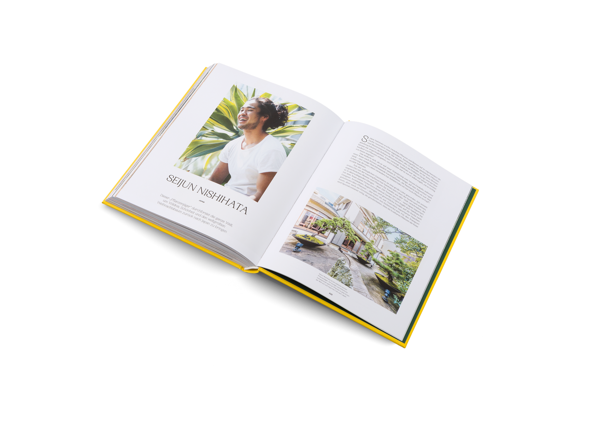 Seijun Nishihata auf der Suche nach Pflanzen