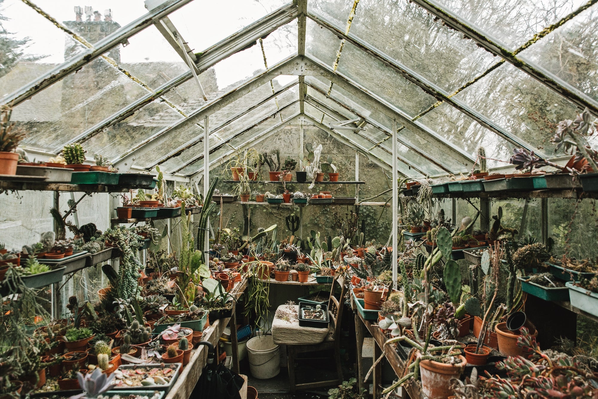 Evergreen Living with plants gestalten coffee table book