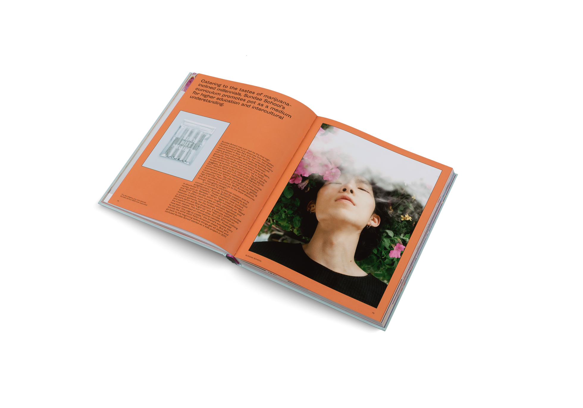 Catering to the tastes of marijuana- inclined millennials, Sundae School’s  curriculum promotes pot as a medium for higher education and intercultural understanding in High on Design
