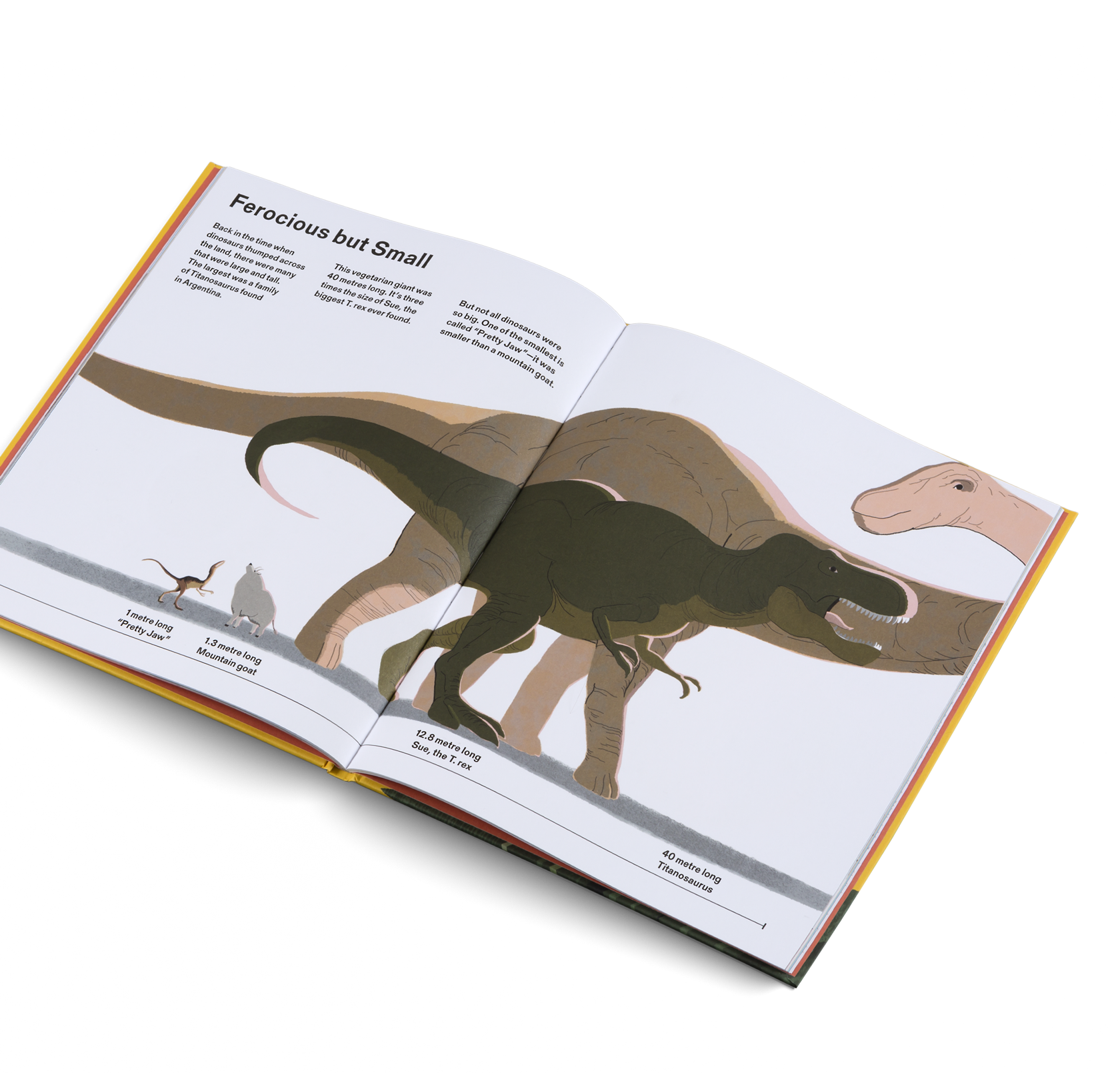 How Big Is Big? How Far Is Far? All Around Me Metric Little Gestalten Children's Book Picture Book Non-Fiction Illustrations Jun Cen Insight