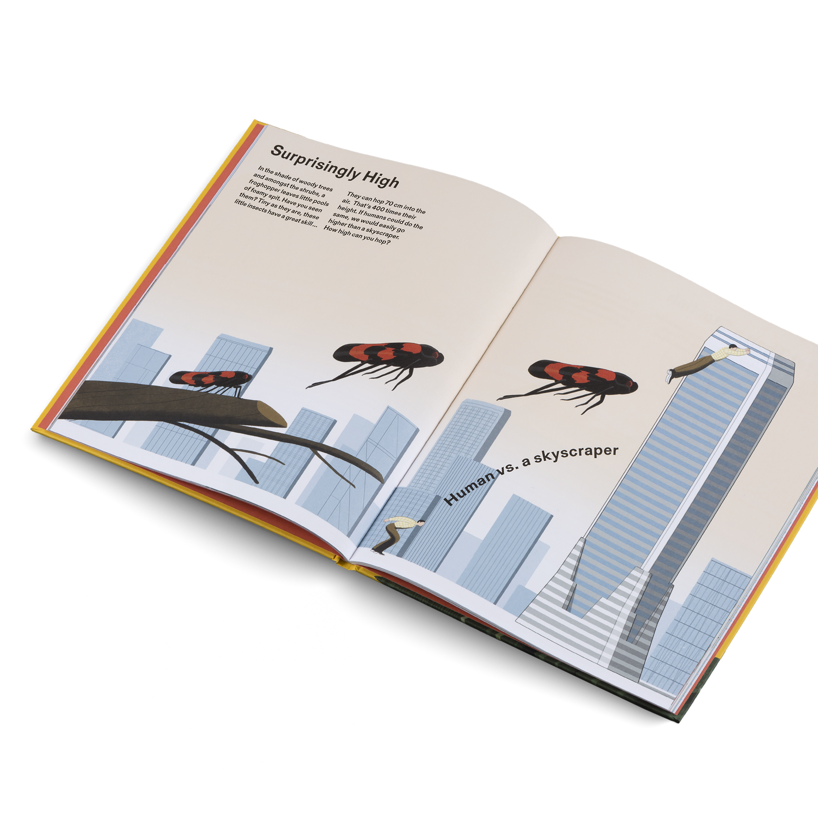 How Big Is Big? How Far Is Far? All Around Me Metric Little Gestalten Children's Book Picture Book Non-Fiction Illustrations Jun Cen Insight