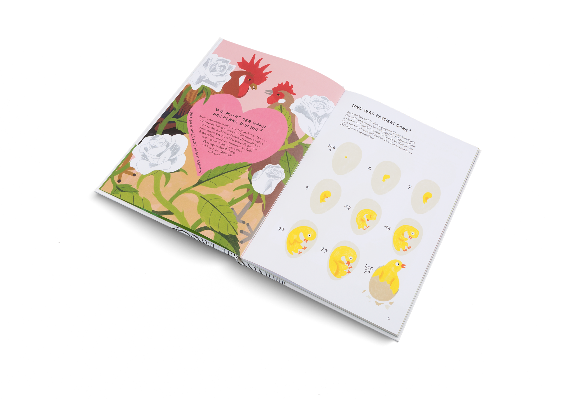 Wie macht der Hahn der Henne den Hof in Ich wollt', ich wär' ein Huhn von Kleine Gestalten