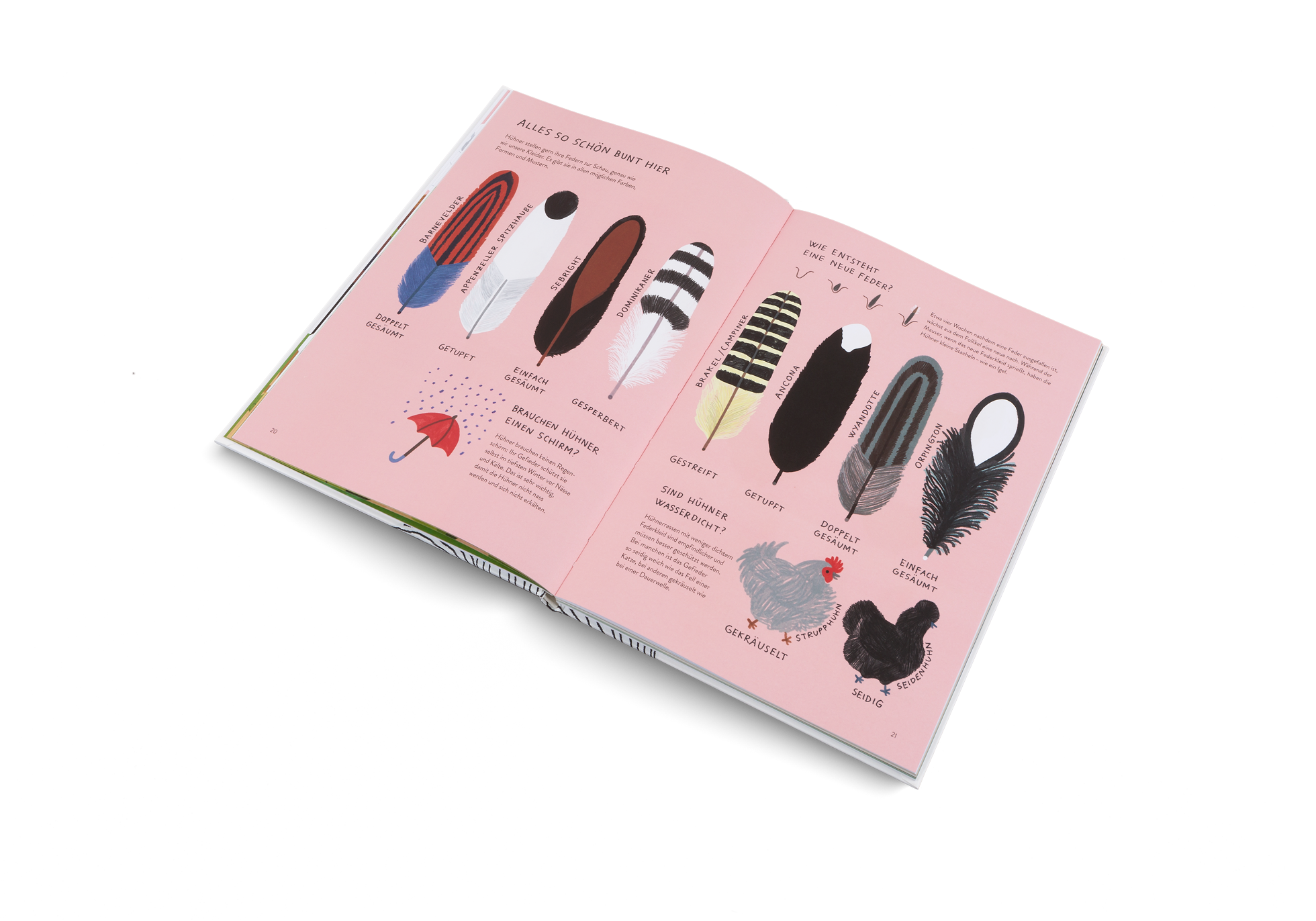 Alles so schön bunt hier in in Ich wollt', ich wär' ein Huhn von Kleine Gestalten