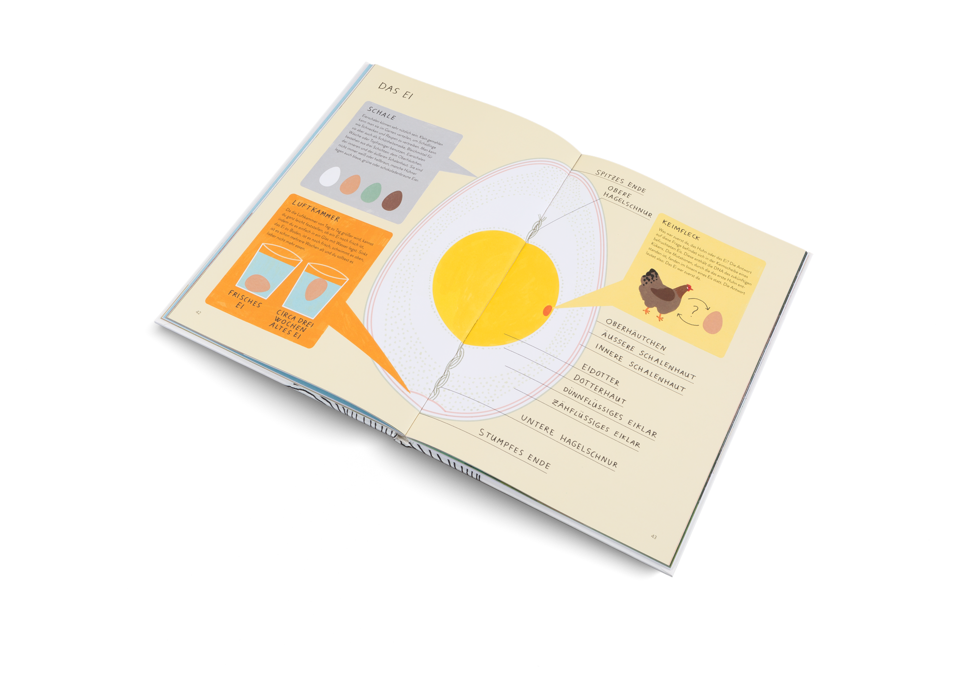 Das Ei in Ich wollt', ich wär' ein Huhn von Kleine Gestalten