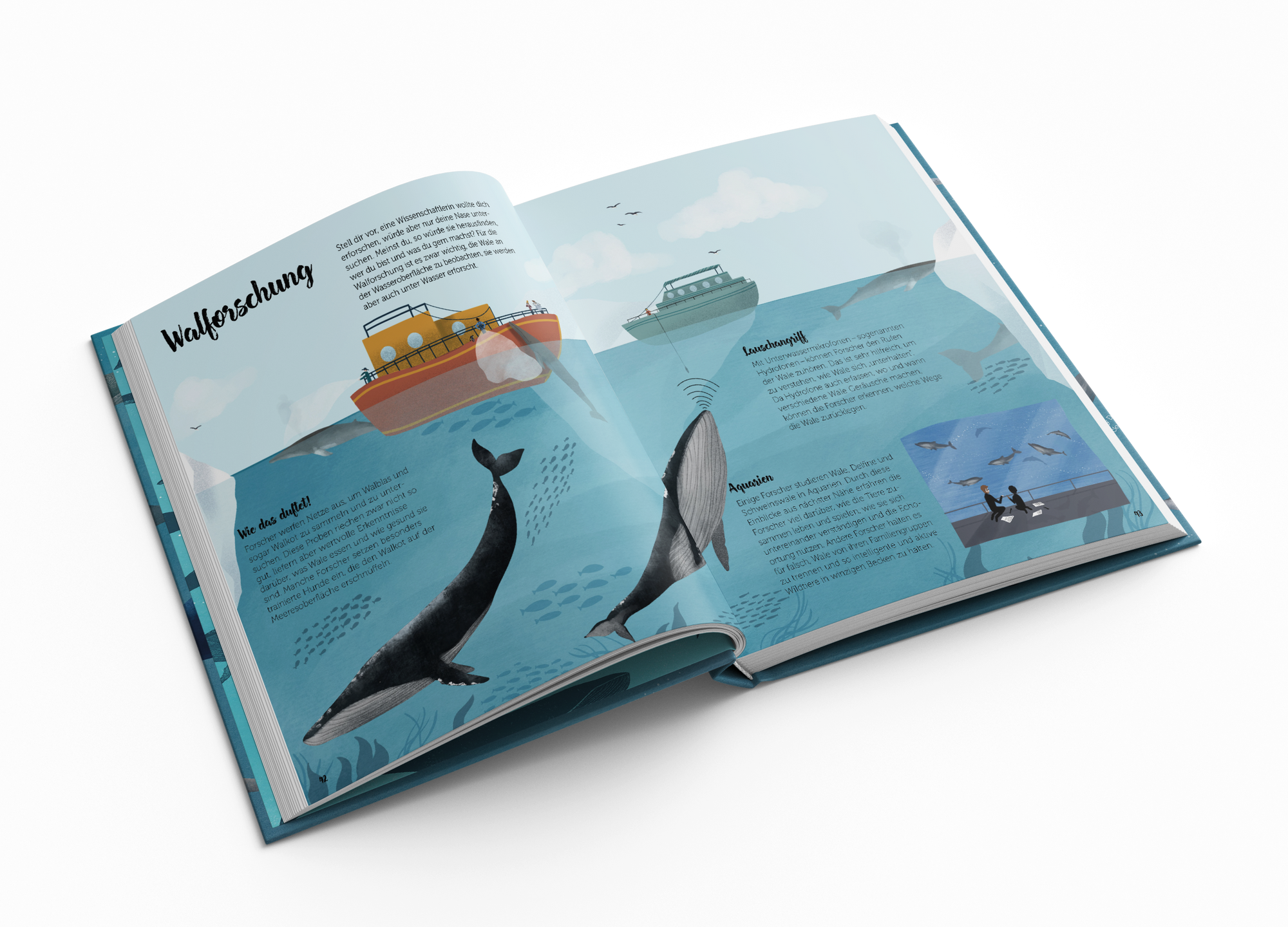 Die Welt der Wale Kleine Gestalten Kinderbuch Sachbuch Illustration Gestalten Insight