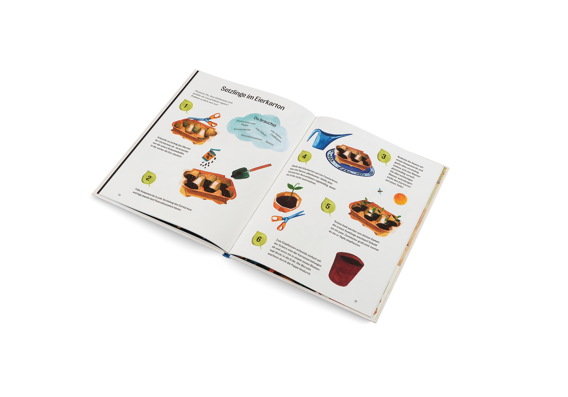 Setzlinge im Eierkarton in Kleine grüne Daumen von Kleine Gestalten