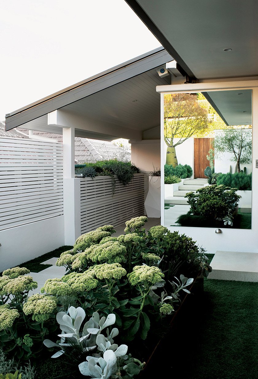 Garten von Jane Stark mit Sukkulenten und Sedum