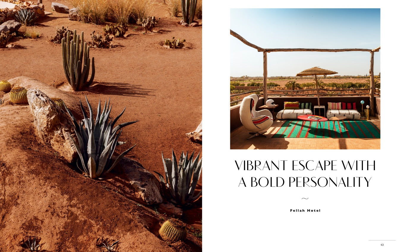 Once in a Lifetime Vol. 2