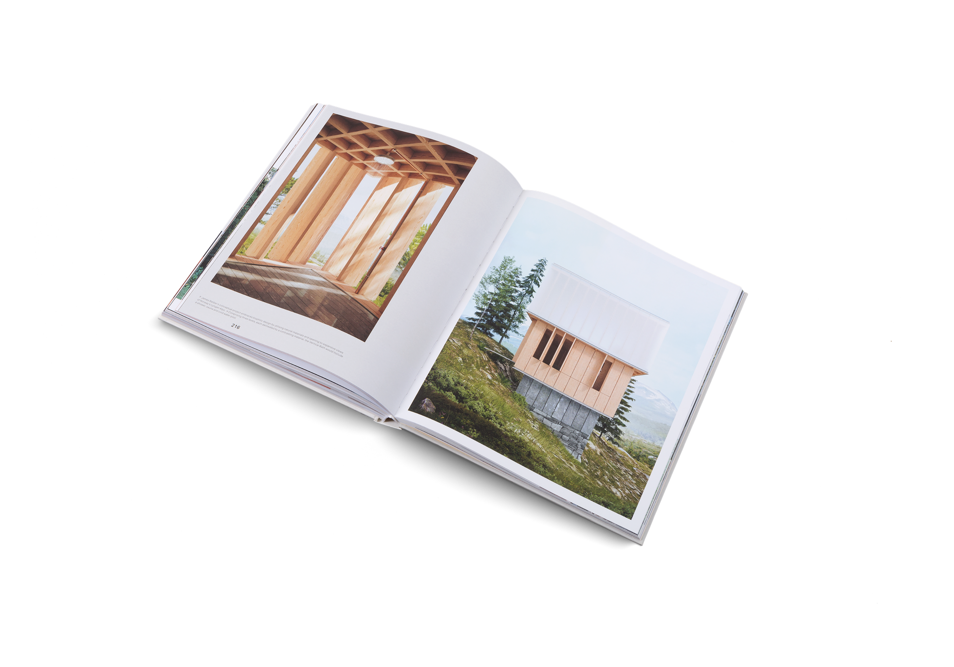 James Barber’s conceptual project embraces biophilic design by utilising natural materials and opening to expansive views of Norway’s Lyngen Alps.