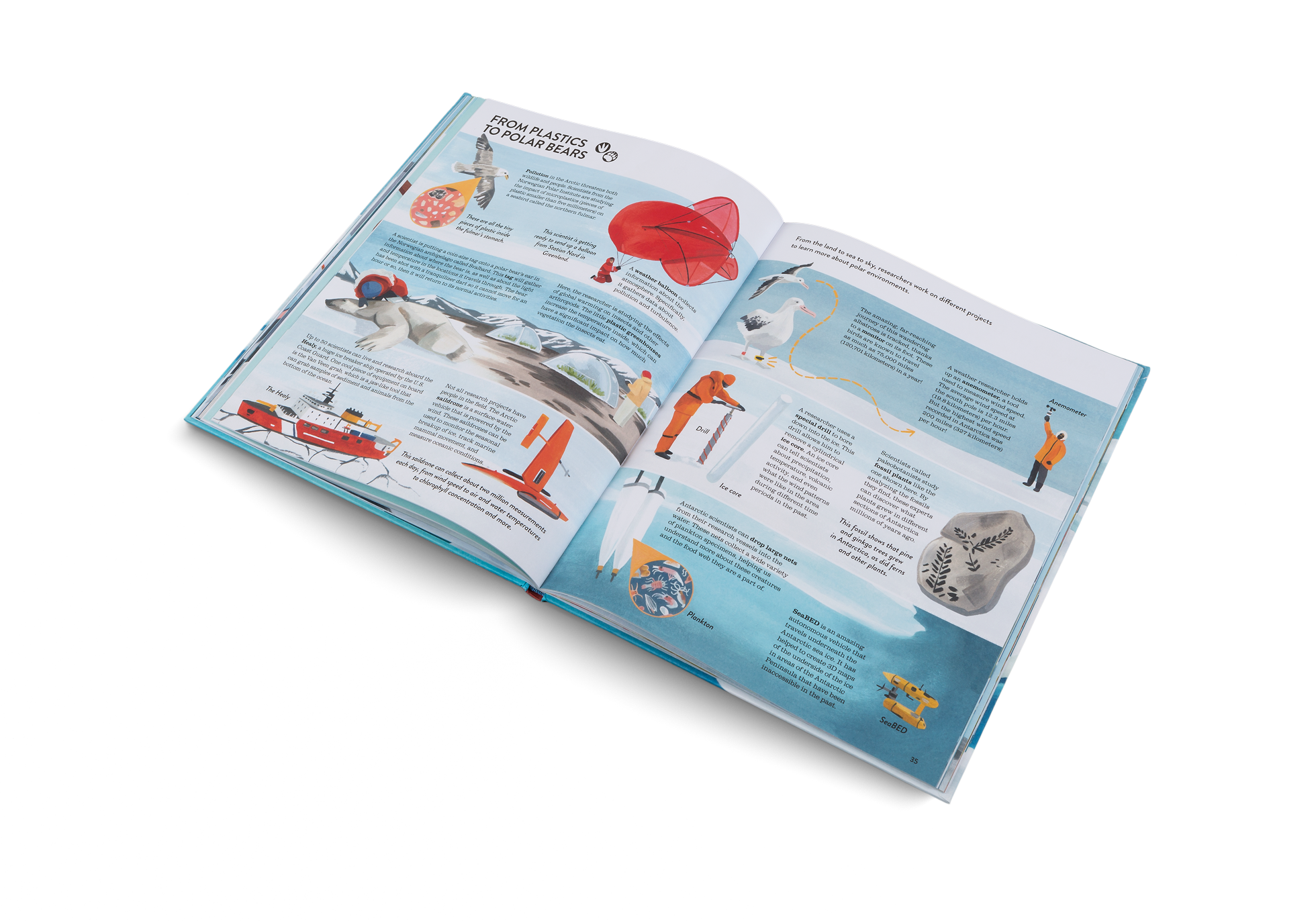 From Plastics to Polar Bears in Penguins and Polar Bears by Little Gestalten