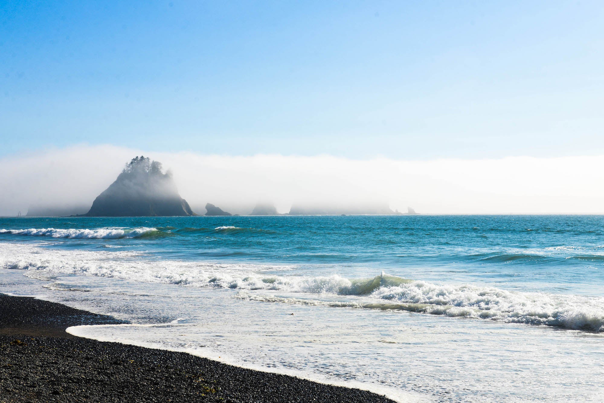 wild beach in Wanderlust USA