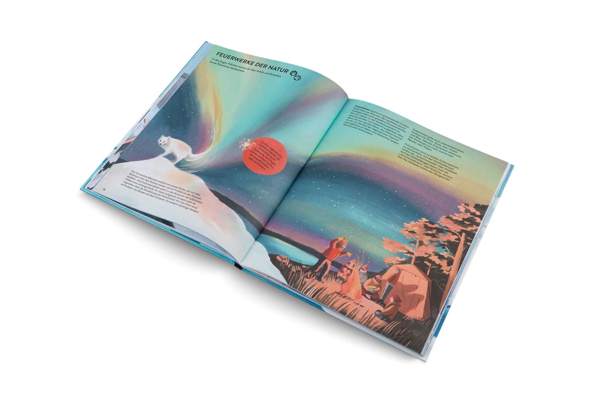 In den langen Nächten kannst du über Arktis und Antarktis bunte Polarlichter beobachten.