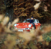 A red Porsche 911 in Porsche 911 by Ulf Poschardt and gestalten