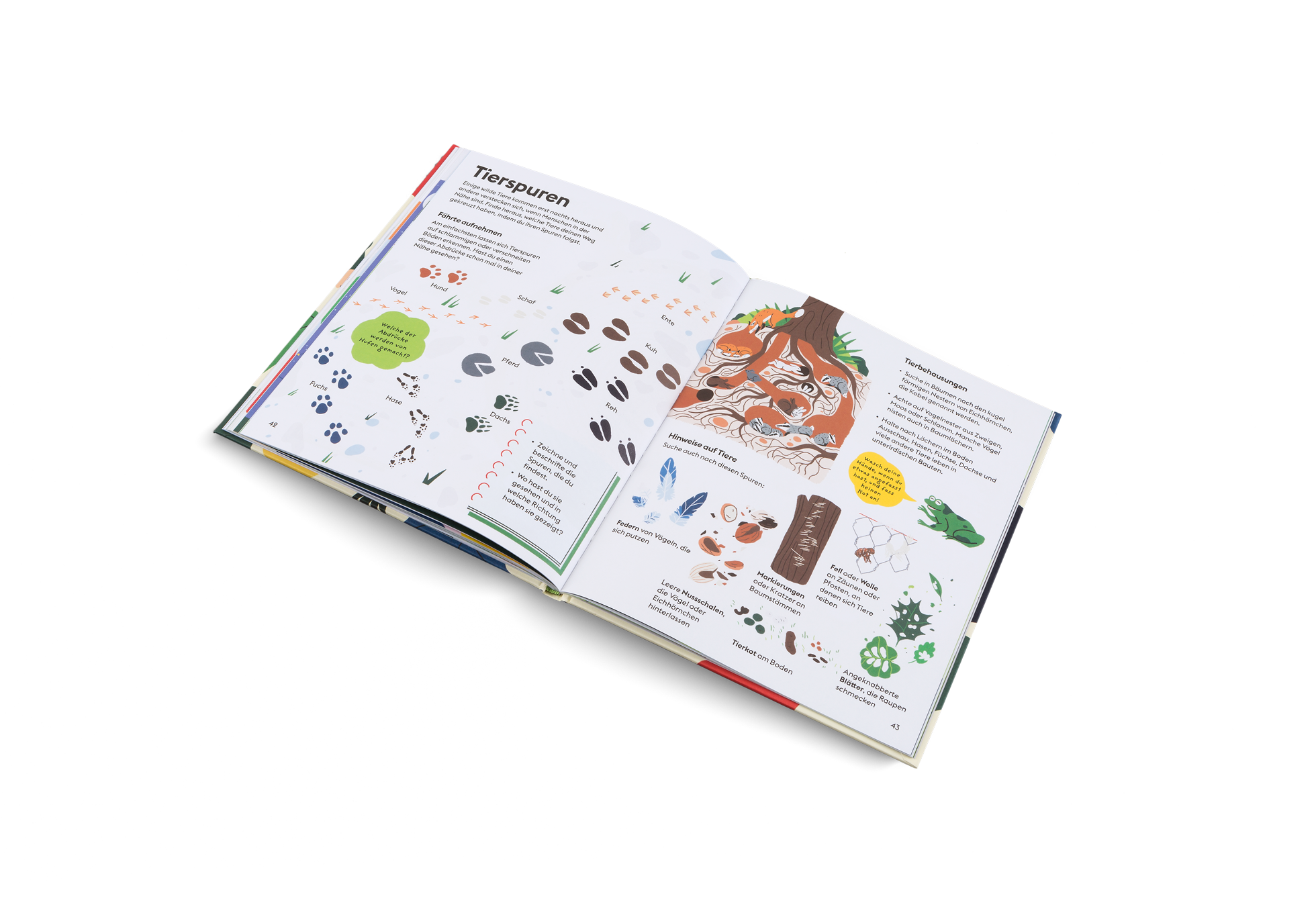 Tierspüren in der Natur