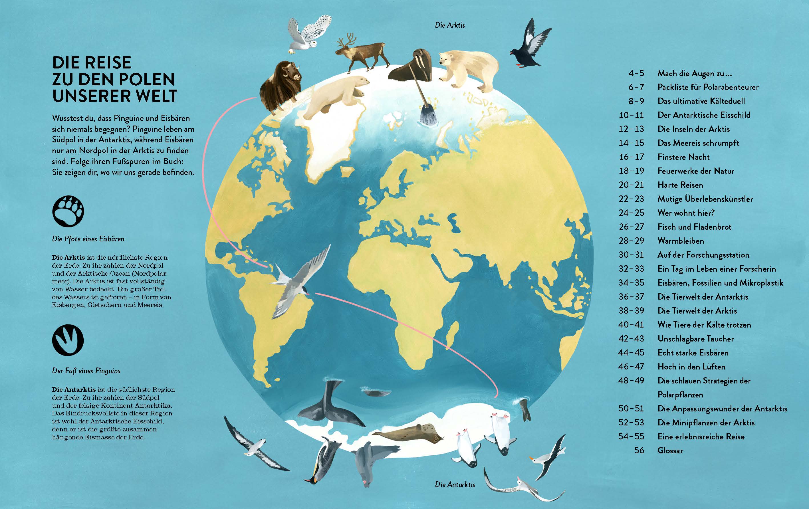 Die Reise zu den Polen unserer Welt mit Pinguine und Eisbären von Kleine Gestalten