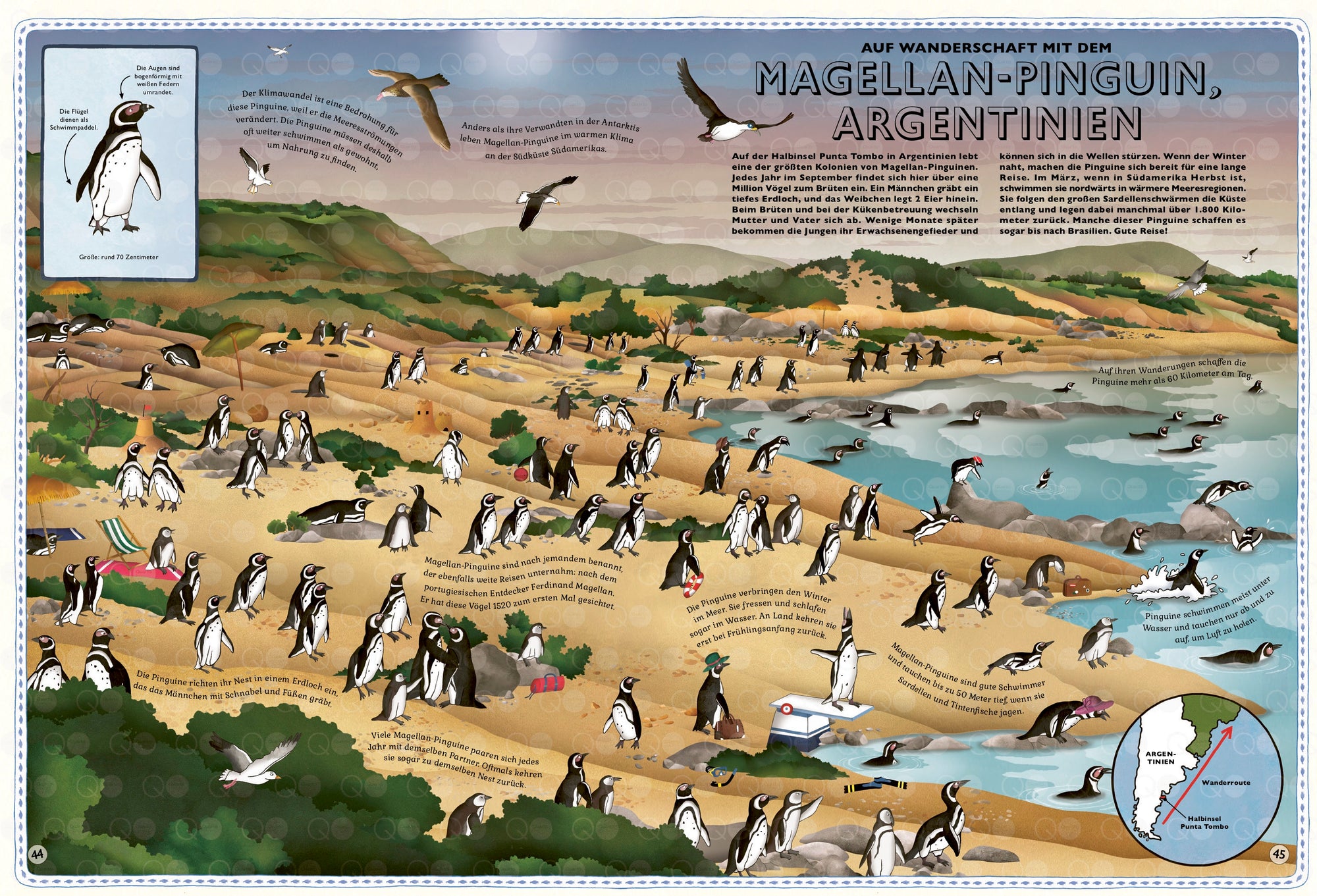 Auf Wanderschaft mit dem Magellan-Pinguin im Atlas der Ozeane