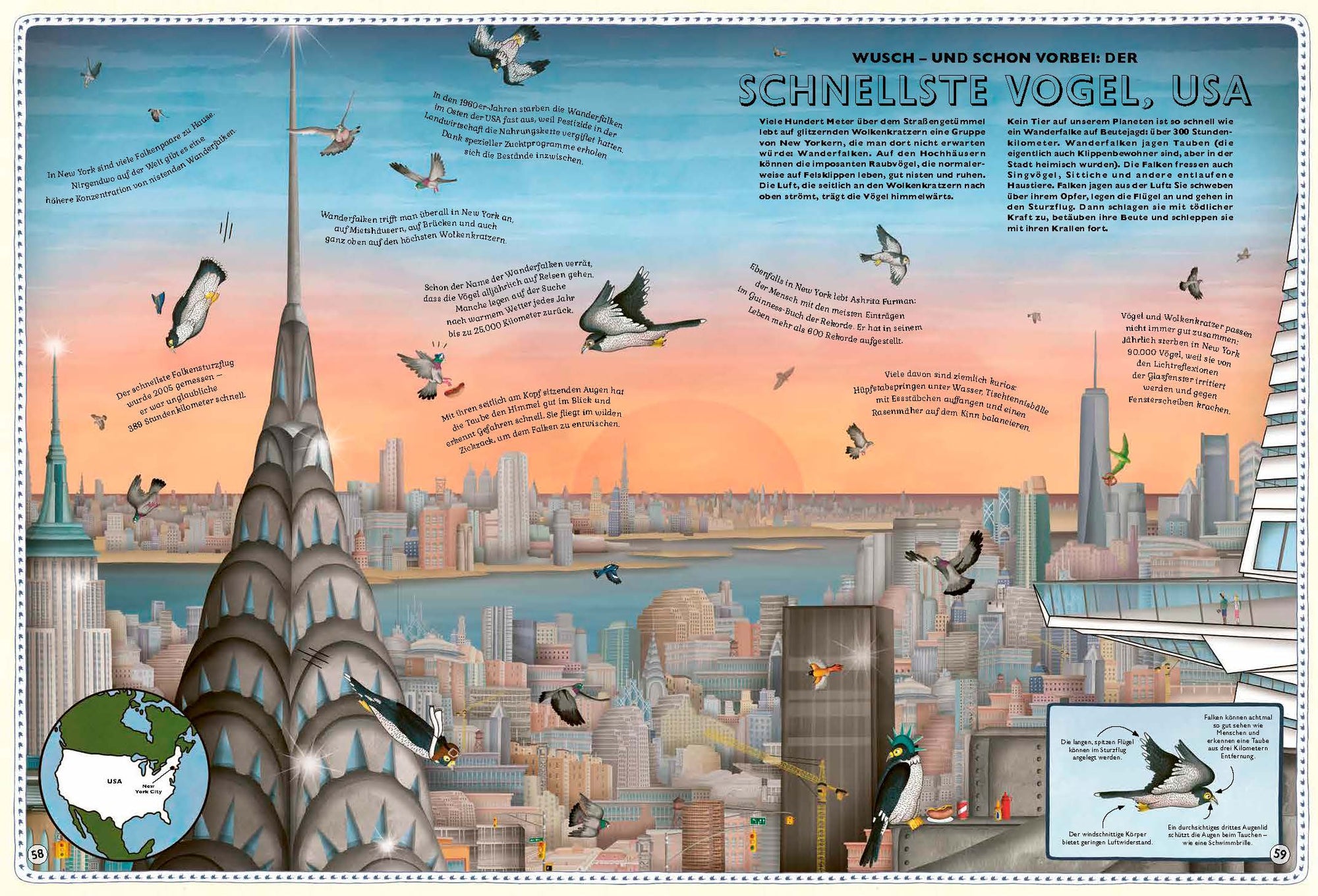 Der schnellste Vogel im Atlas der Superlative von Kleine Gestalten