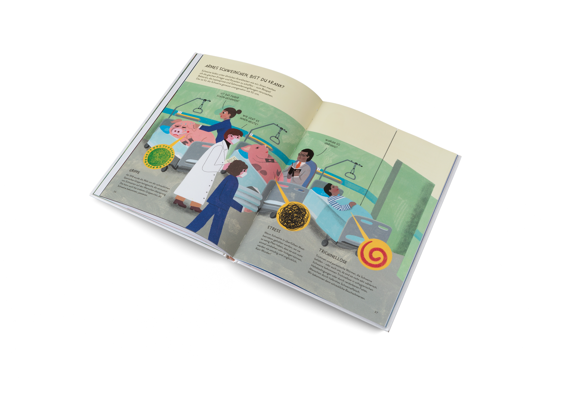 Schweine leiden unter ähnlichen Krankheiten wie wir; ihnen machen oft die gleichen Erreger und Parasiten zu schaffen – zum Beispiel Bakterien, die Leptospirose und Salmonellenvergiftungen verursachen. Das ist für die Schweine genauso unangenehm wie für uns.