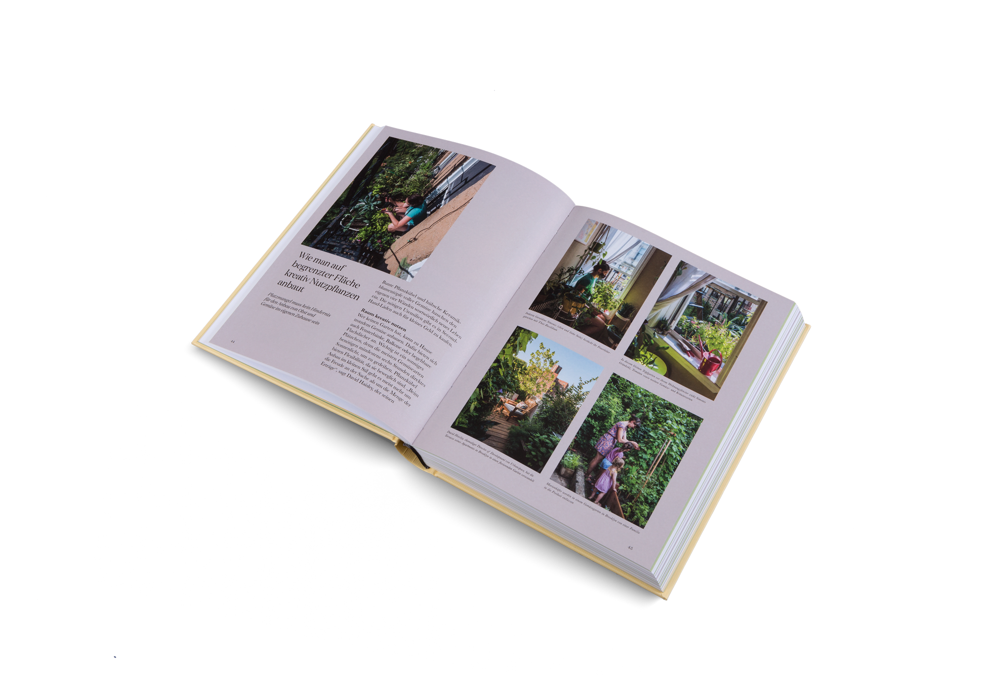 Wie man auf begrenzter Fläche kreativ Nutzpflanzen anbaut. Platzmangel muss kein Hindernis für den Anbau von Obst und Gemüse im eigenen Zuhause sein.