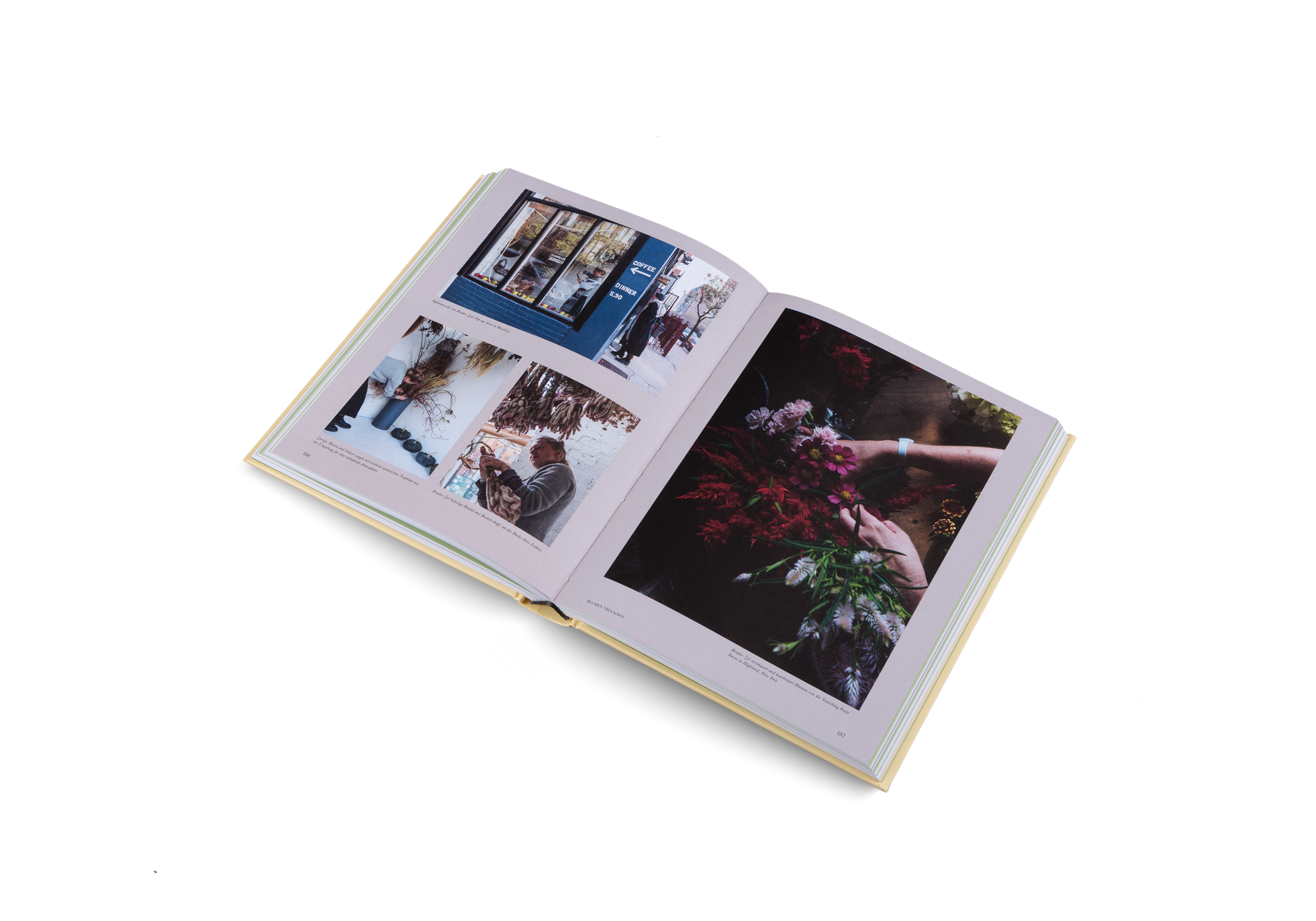 Außenansicht von Bruder-Zals Pop-up-Store in Brooklyn. Bruder-Zal arrangiert und kombiniert Blumen von der Vanishing Point Farm in Highland, New York