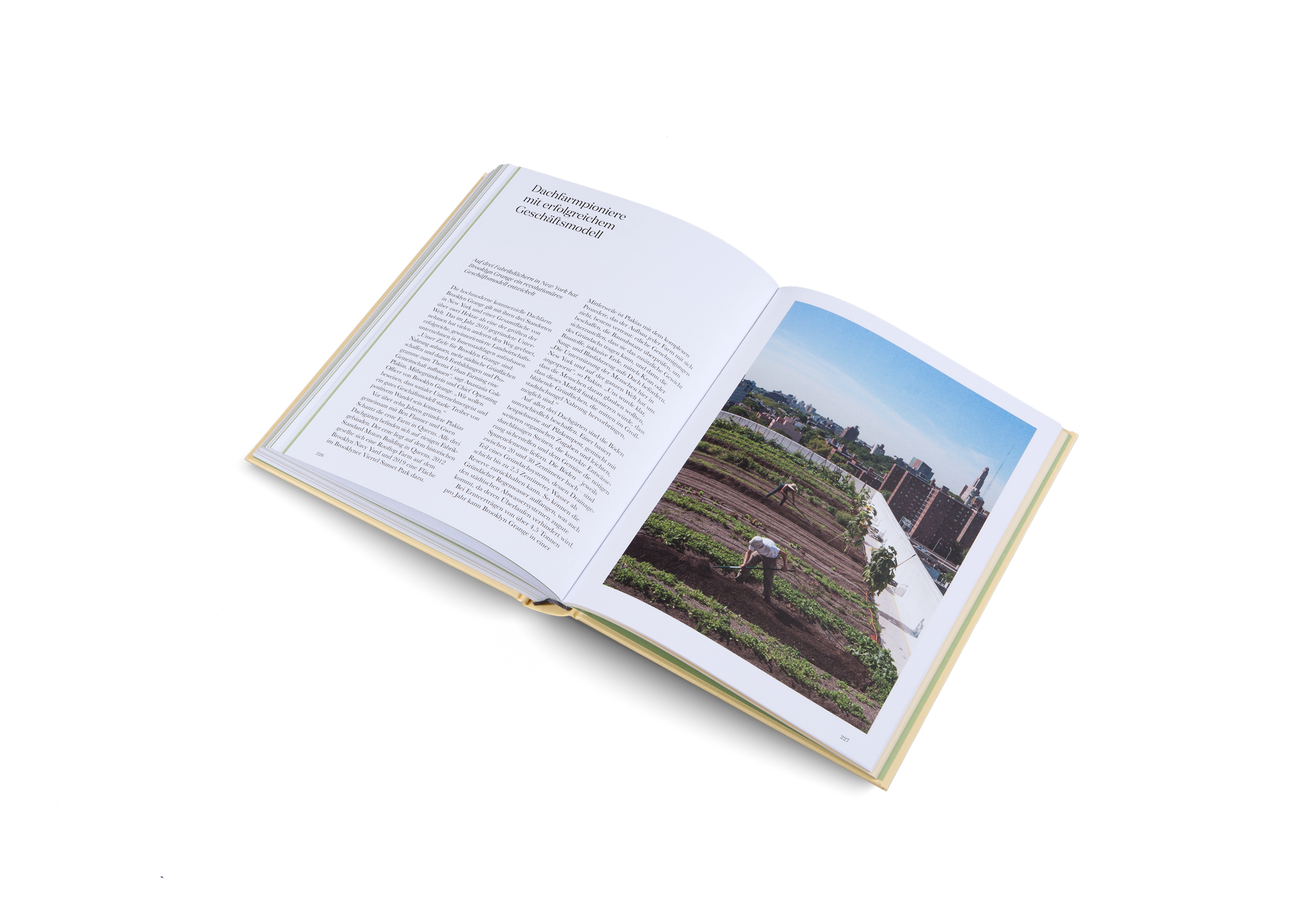 Auf drei Fabrikdächern in New York hat Brooklyn Grange ein revolutionäres Geschäftsmodell entwickelt. Die hochmoderne kommerzielle Dachfarm Brooklyn Grange gilt mit ihren drei Standorten in New York und einer Gesamtfläche von über zwei Hektar als eine der größten der Welt.