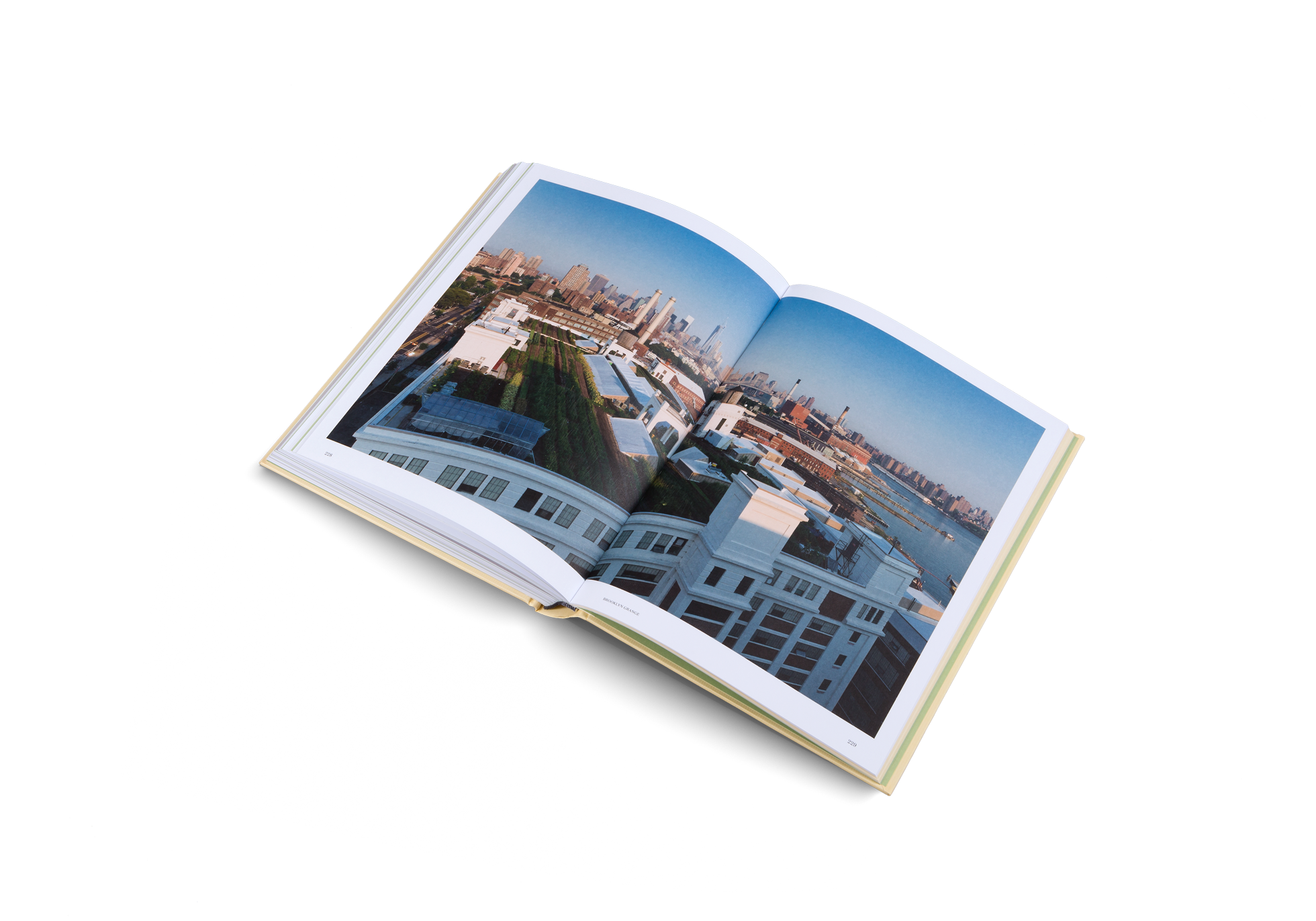 Brooklyn Grange in  New York City. Vor über zehn Jahren gründete Plakias gemeinsam mit Ben Flanner und Gwen Schantz die erste Farm in Queens. Alle drei Dachgärten befinden sich auf riesigen Fabrik - gebäuden. Der erste liegt auf dem historischen Standard Motors Building in Queens. 2012 gesellte sich eine Rooftop Farm auf dem Brooklyn Navy Yard und 2019 eine Fläche im Brooklyner Viertel Sunset Park dazu.