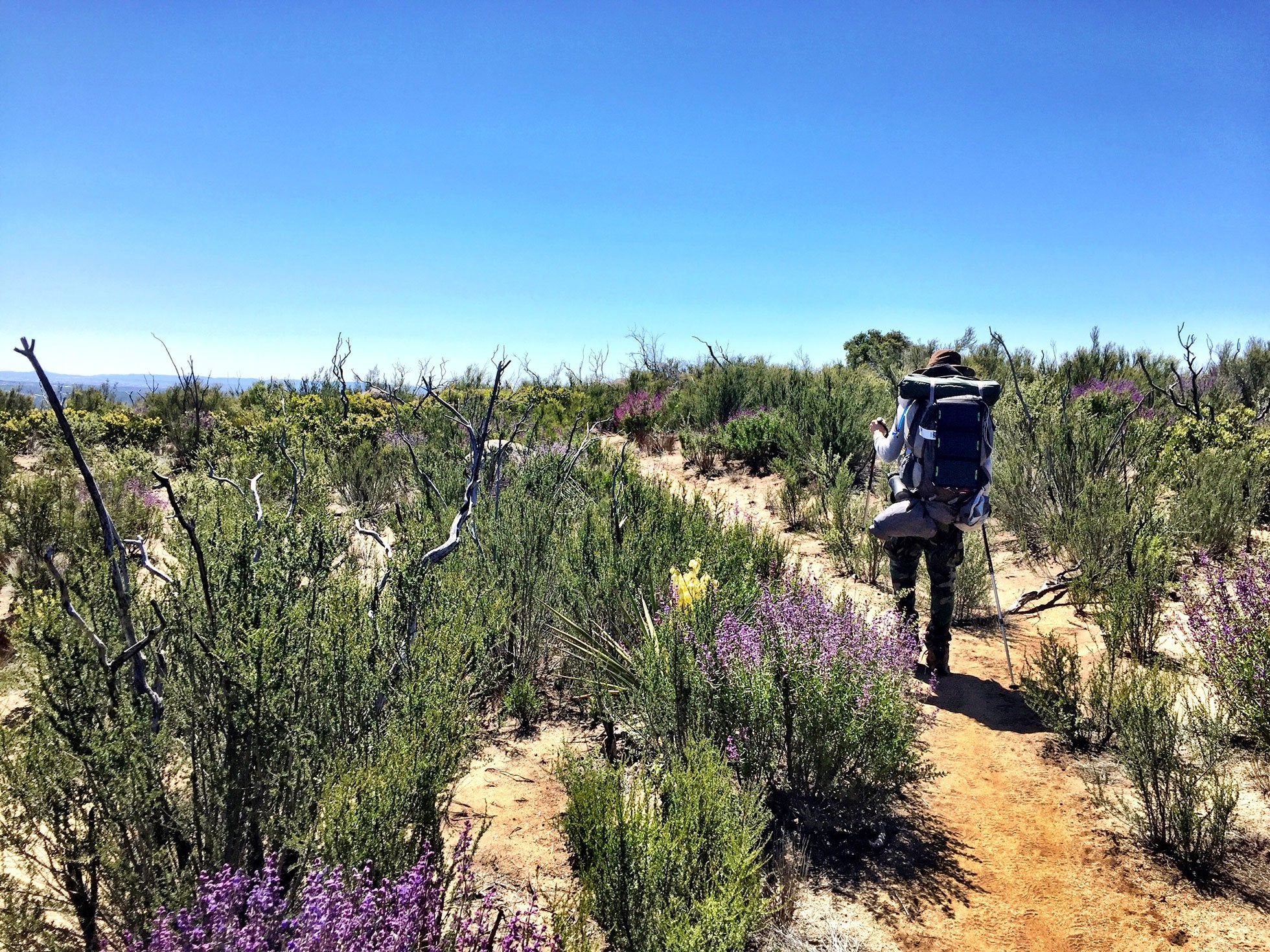 Un randonneur sur le Pacific Crest Trail dans En Solitaire