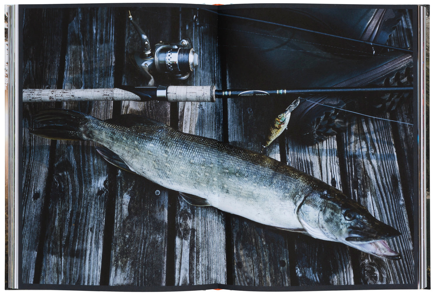 Fishing in the Great Outdoors