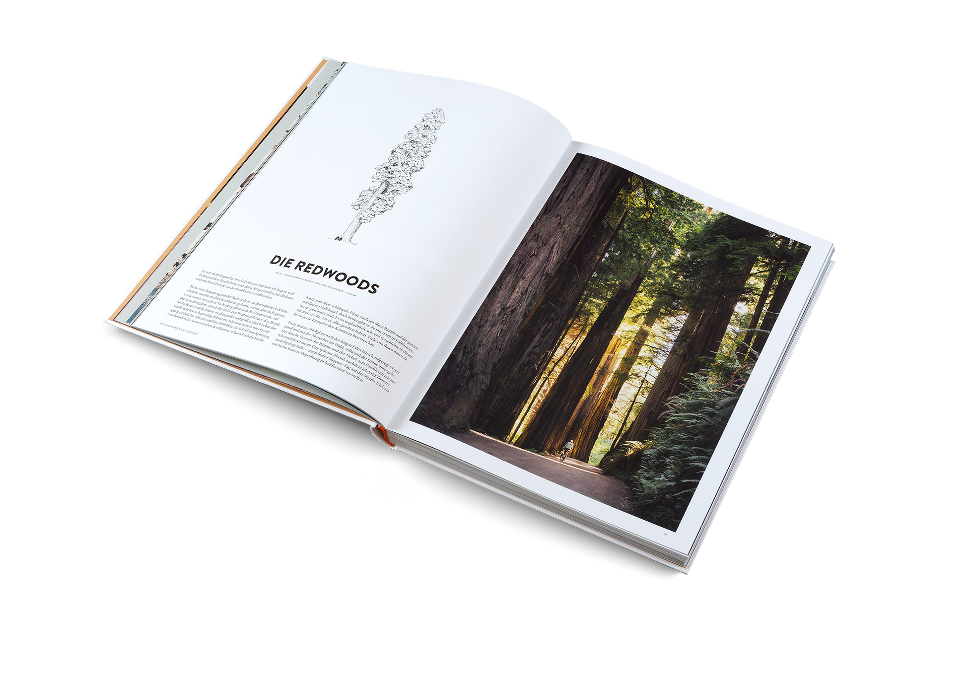 Martijn Doolaard war mit seinem Fahrrad an der Pazifikküste in Kalifornien. Enrdeckt mehr über seinen Abenteuer in Two Years on a Bike.