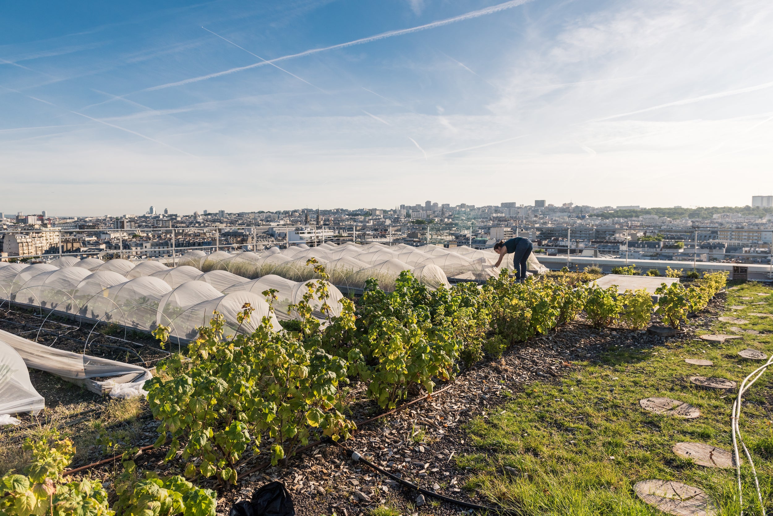 Learn about urban landscape design with a sustainable approach in Urban Farmers, a book by gestalten. For example, Topager, a urban farm founded in Paris with multiple projects sprouting up across France,  creates edible urban landscapes