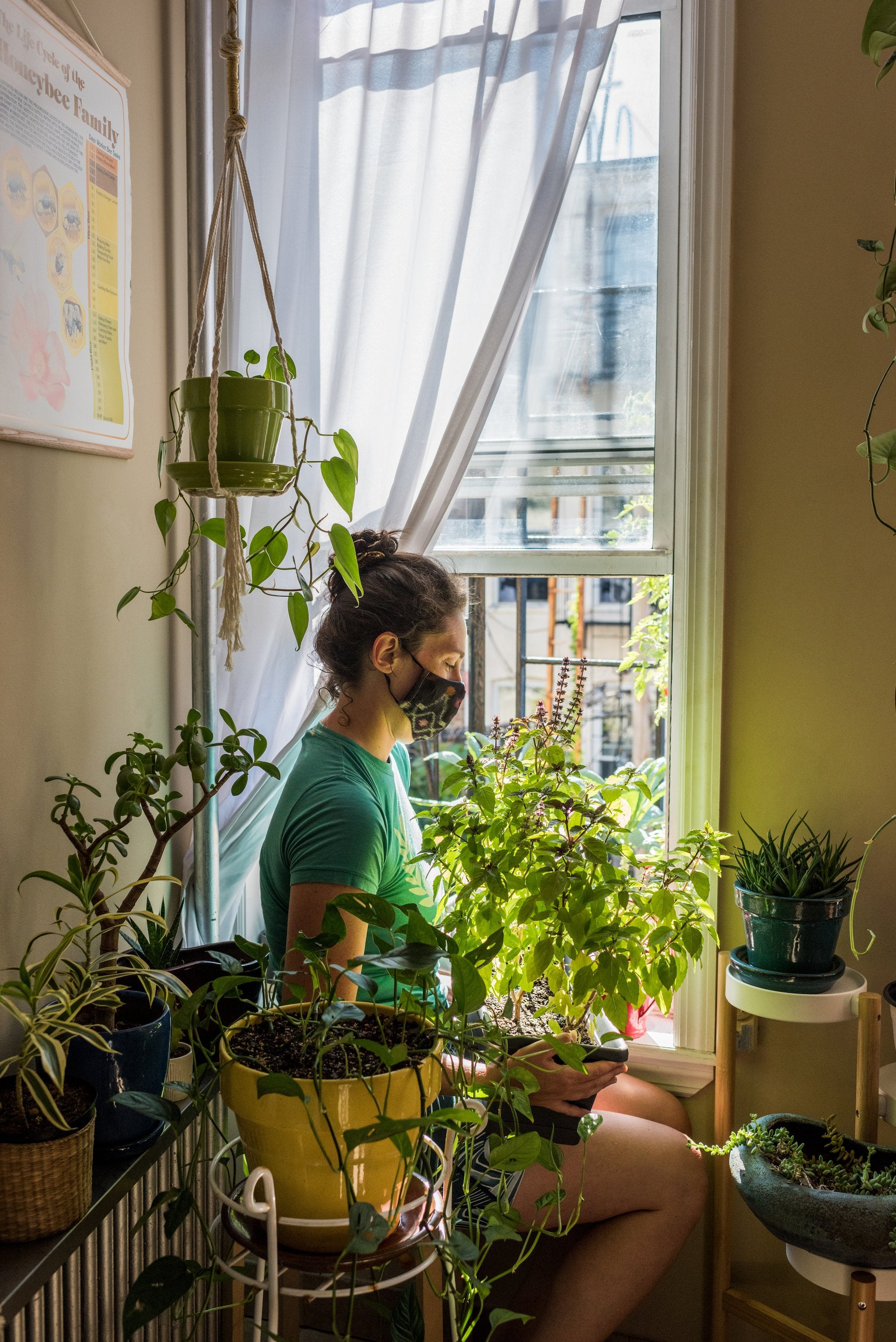 Fermiers urbains vous apprend à être créatif avec votre environnement.