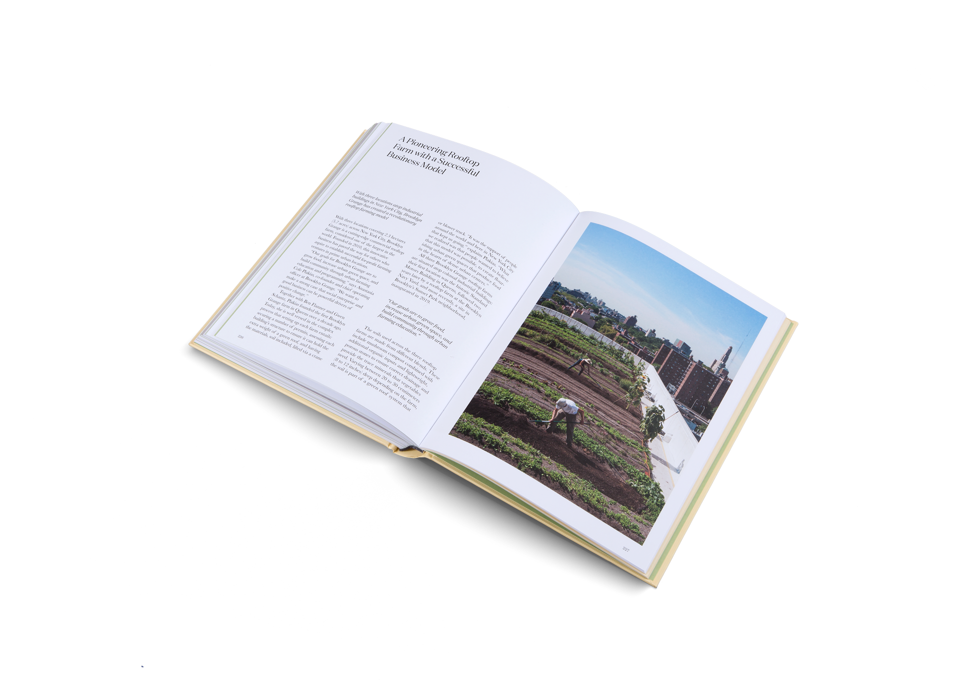 A Pioneering Rooftop Farm with a Successful Business Model. With three locations atop industrial buildings in New York City, Brooklyn Grange has created a revolutionary rooftop farming model. 