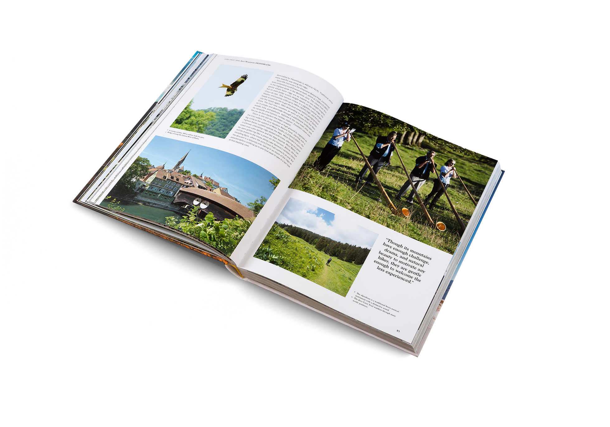 There is one last key section of high ground to negotiate as the trail enters the Jura Vaudois Nature Park, starting with a big climb to the summit of Mont Tendre—the highest Swiss summit outside the Alps. Mont Tendre’s summit is a broad, undulating ridge dotted with trees, offering very good views over Lake Geneva and the Alps beyond. Mont Blanc can be seen glittering like a jewel on the horizon.