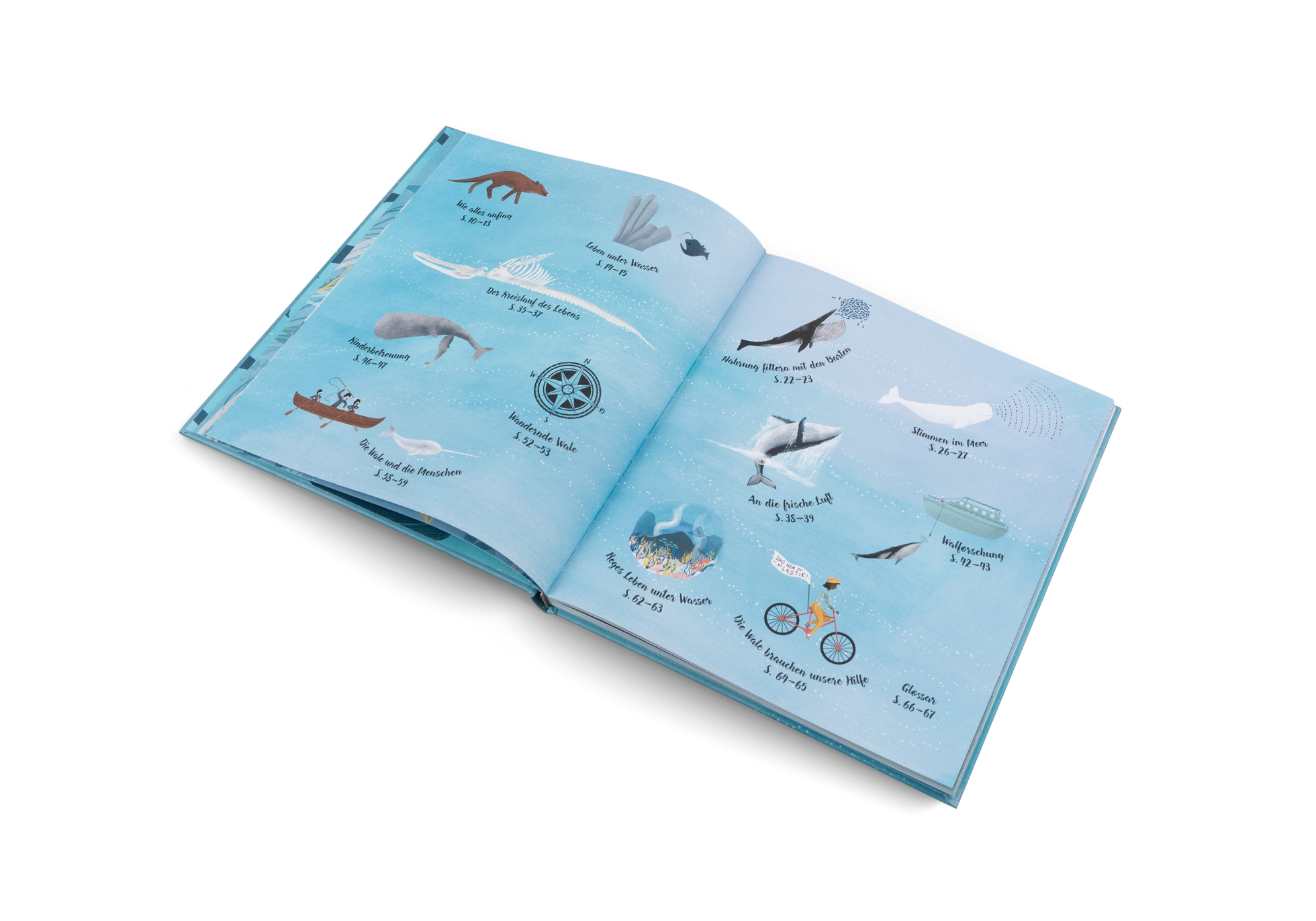 Blauwale, Pottwale und Schwertwale sind Meeresäuger